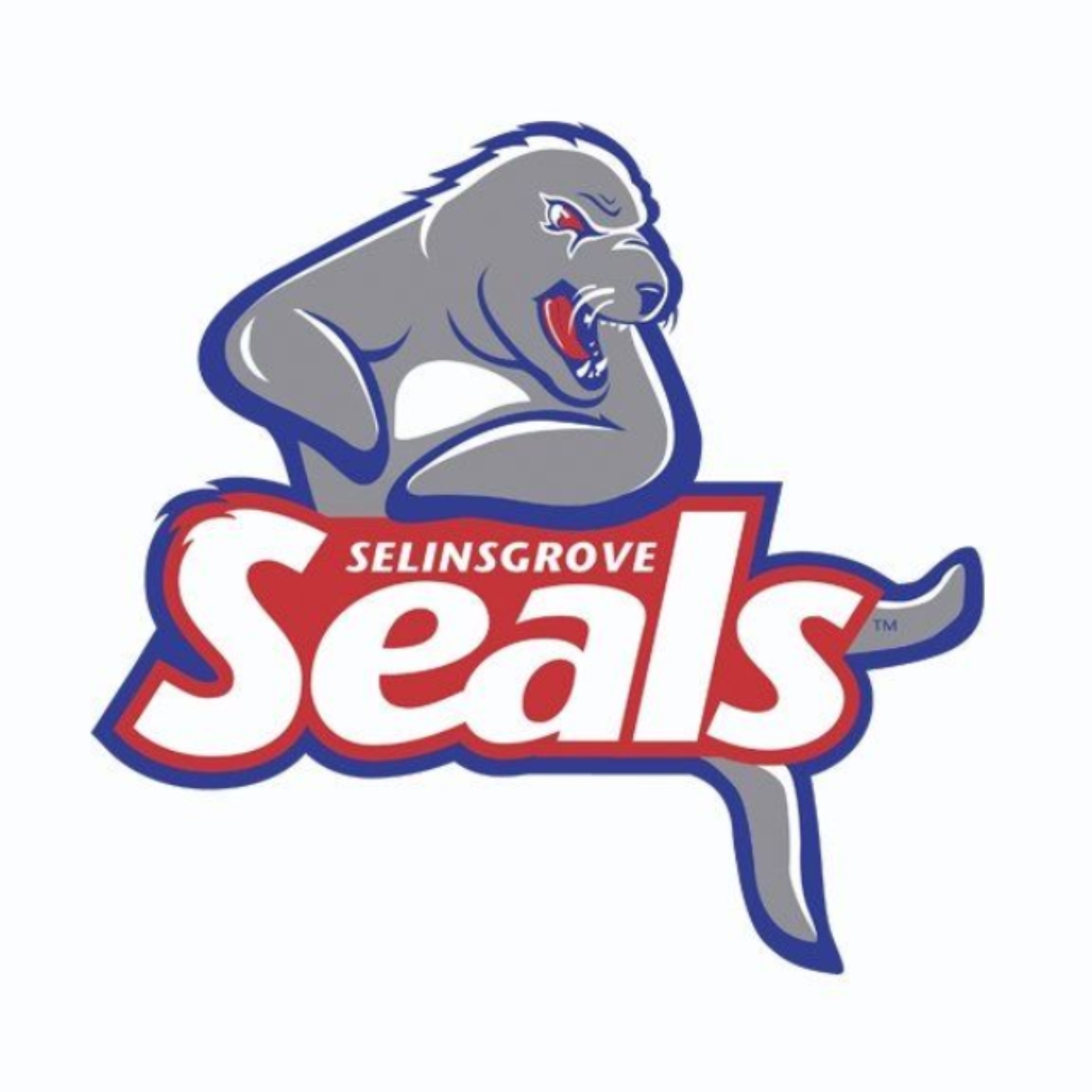 Selinsgrove Seals Football on Eagle 107 