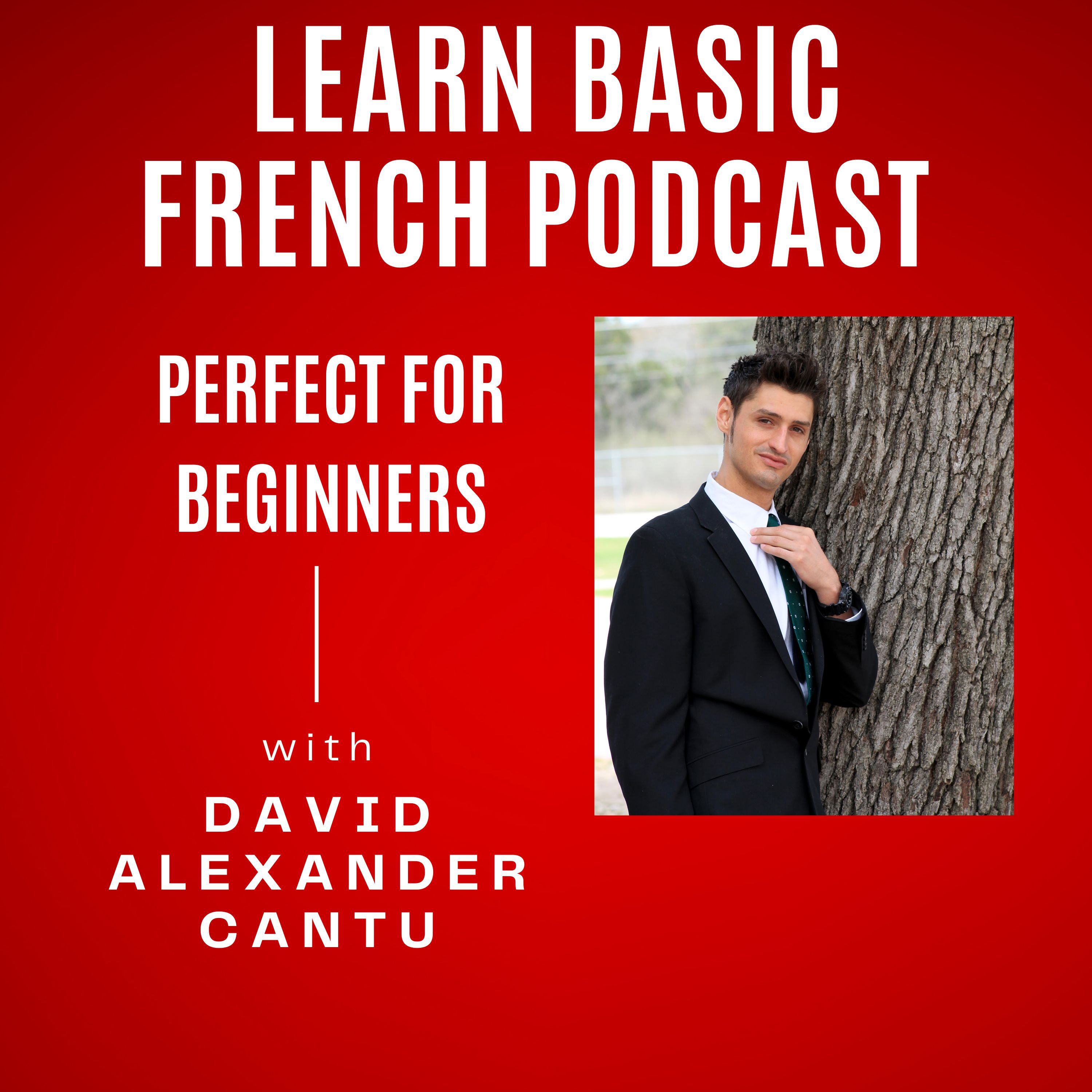 Learn Basic French Podcast 