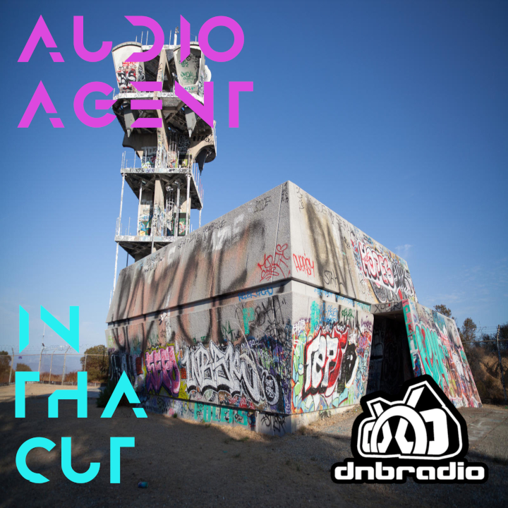 ⁣Audio Agent - In Tha Cut 098