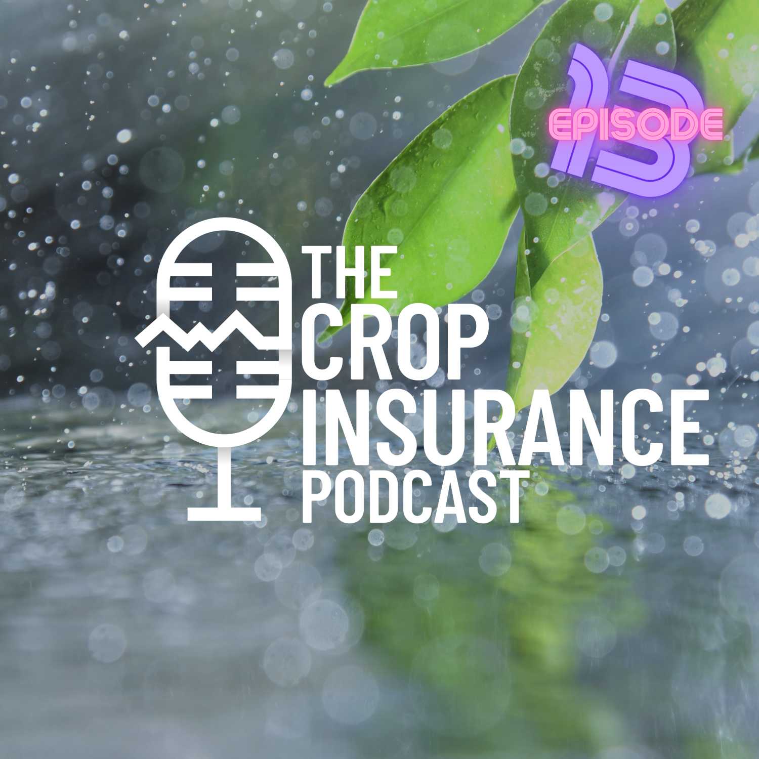 ⁣Crop Insurance Basics | 13: PRF