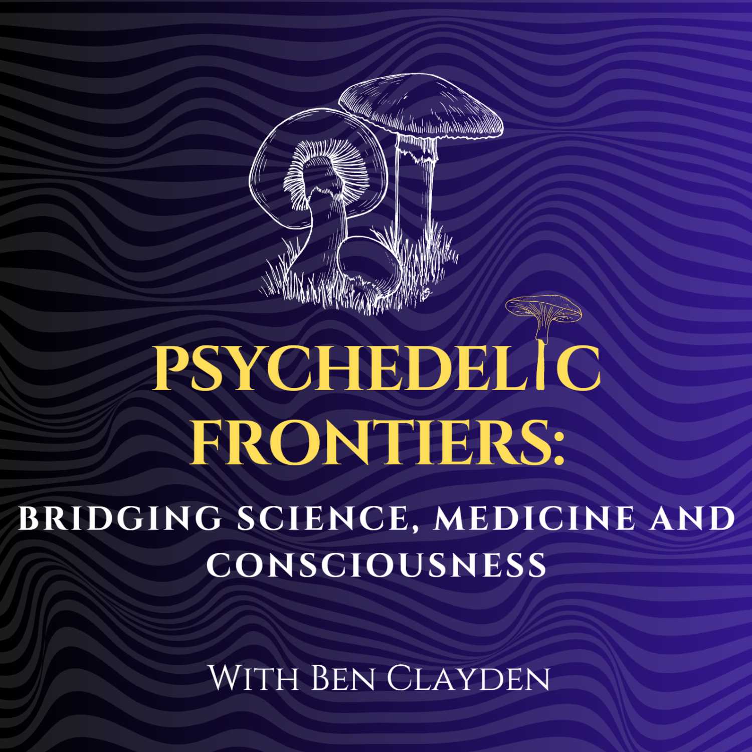 Psychedelic Frontiers: Bridging Science, Medicine and Consciousness 