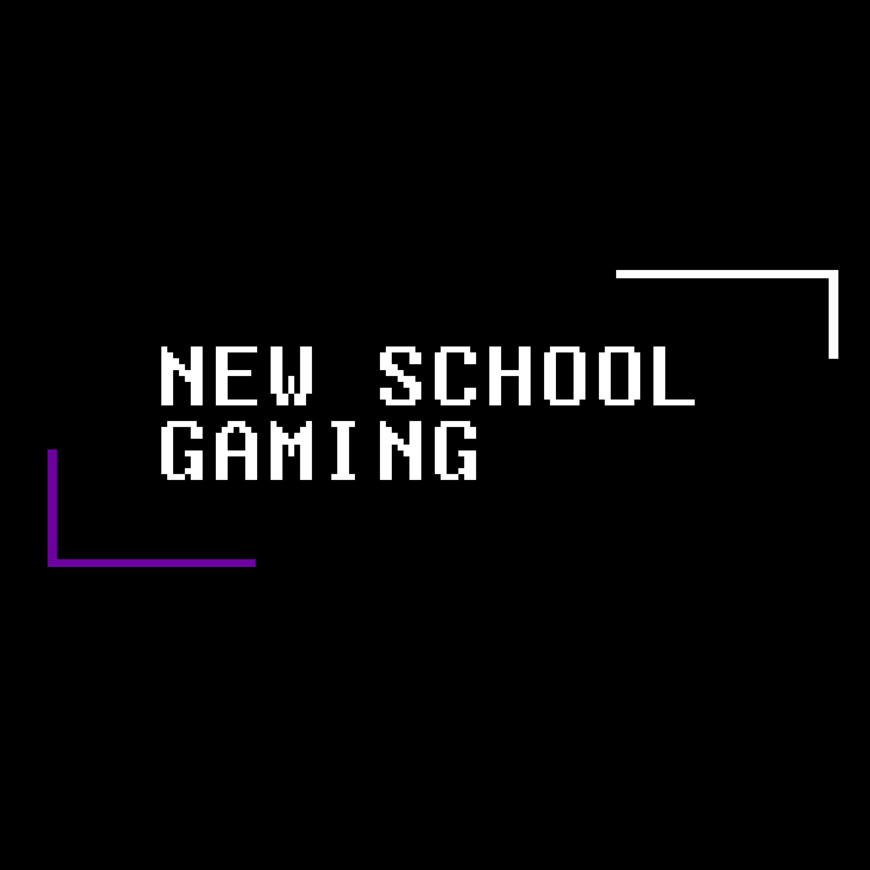 New School Gaming 