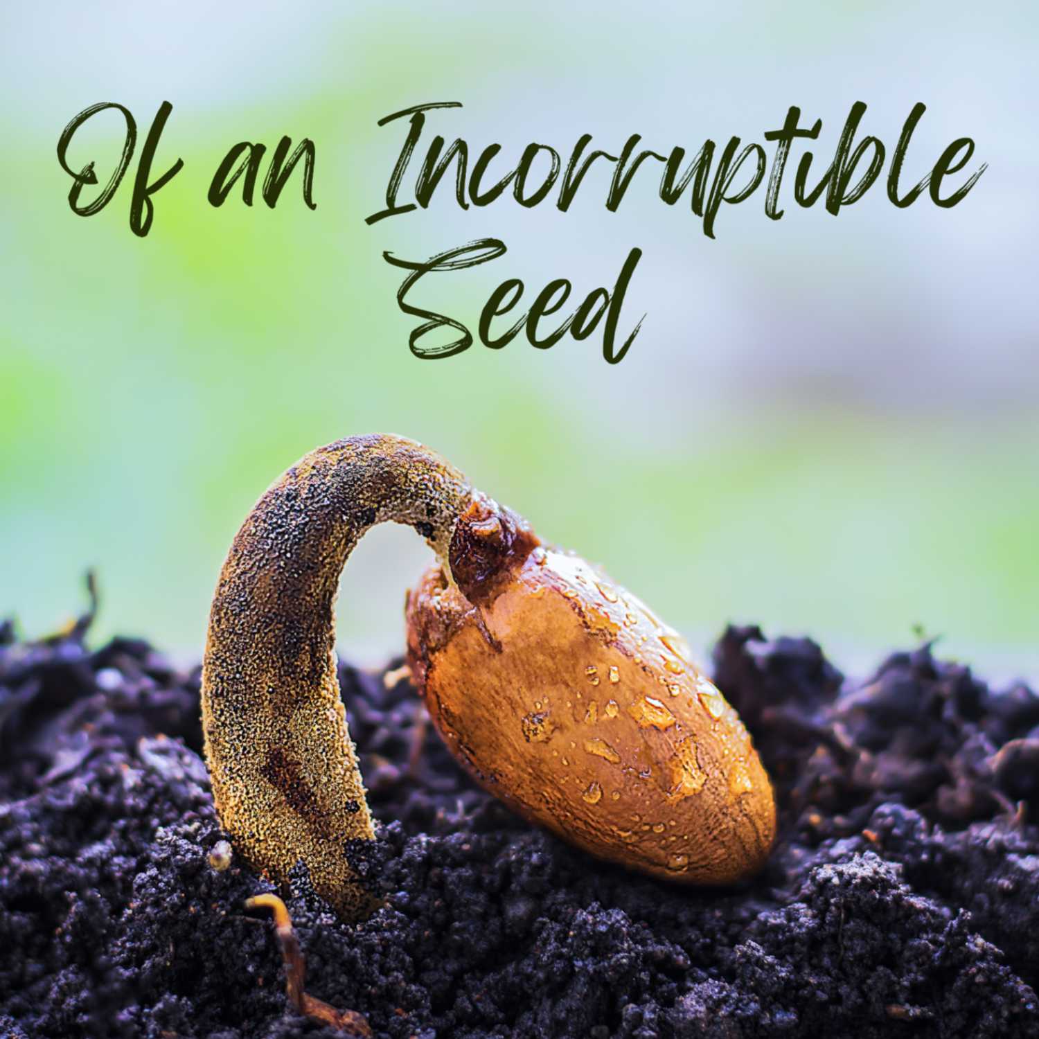 ⁣Of an Incorruptible Seed