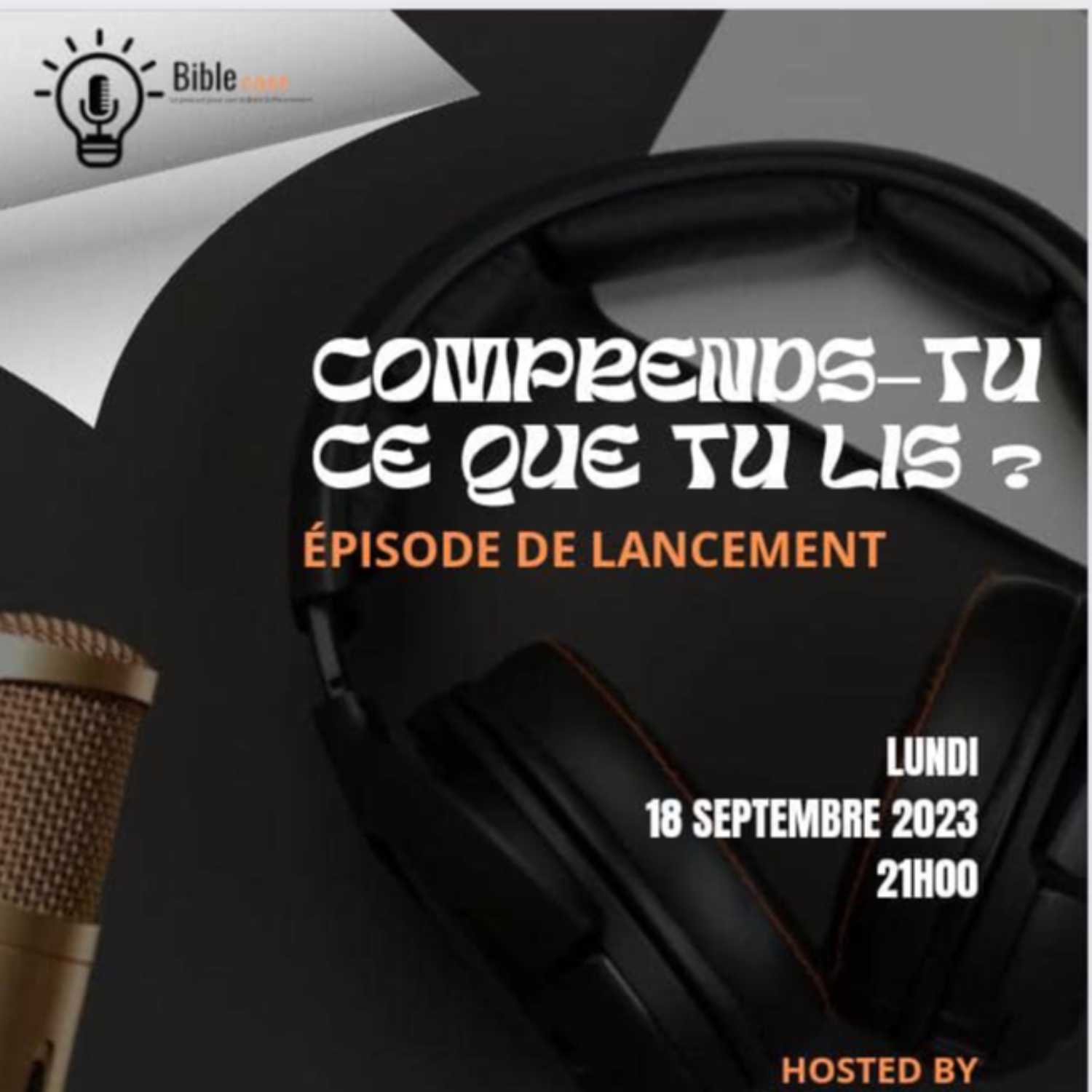 comprends-tu ce que tu lis ?