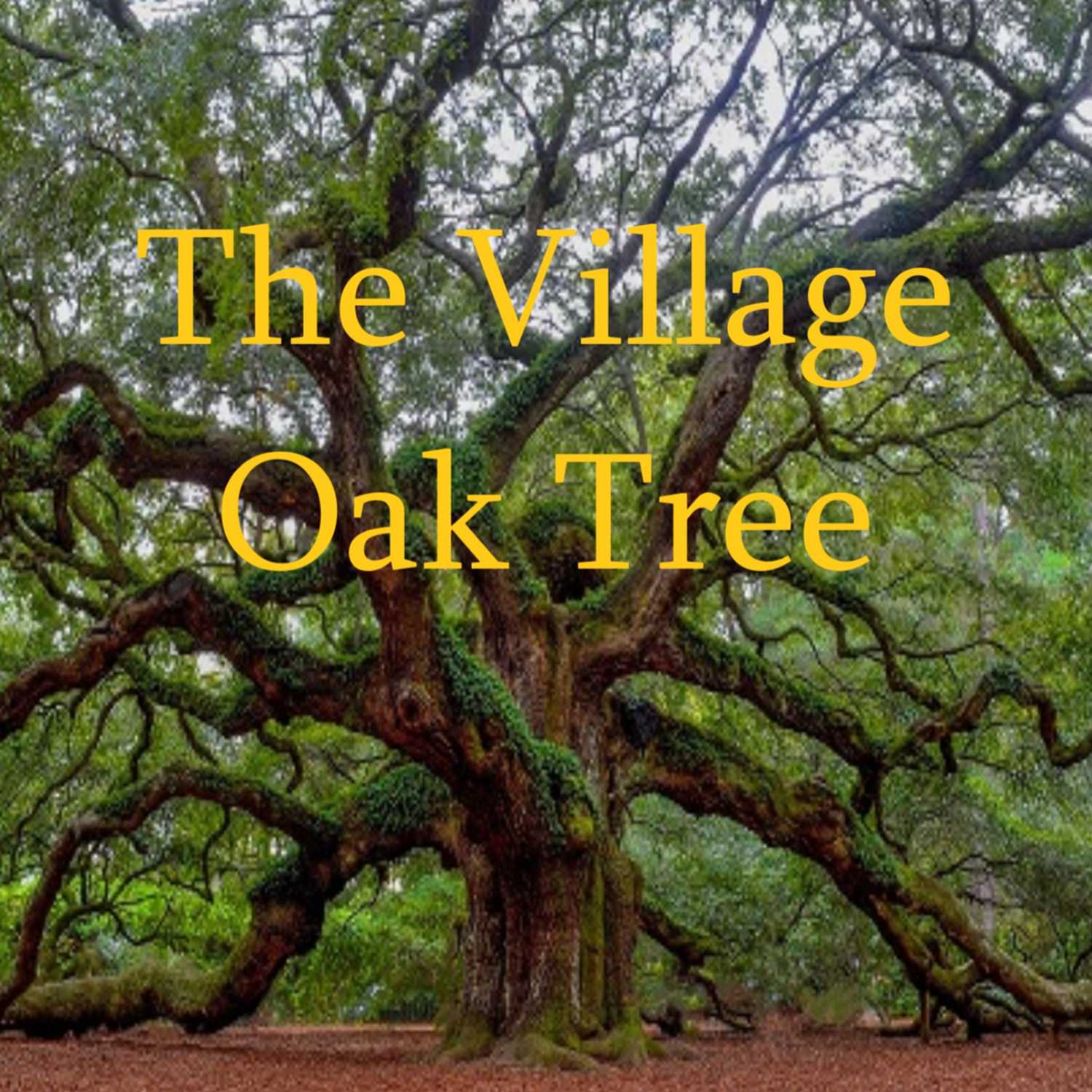 ⁣The Village Oak Tree for Sept. 20th, 2023