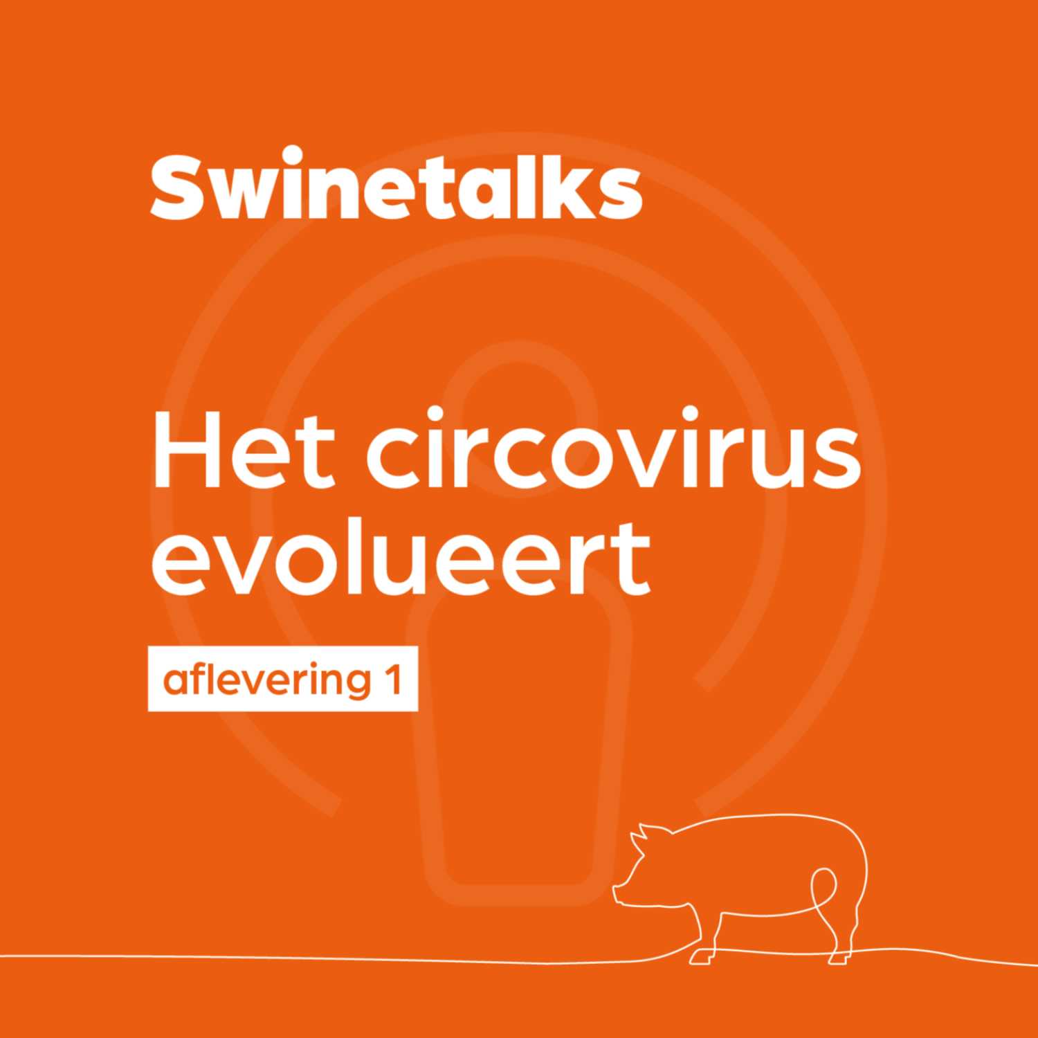 Swinetalks — 001 — Het circovirus evolueert