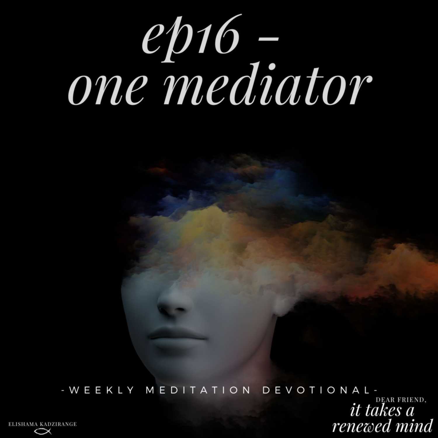 One Mediator