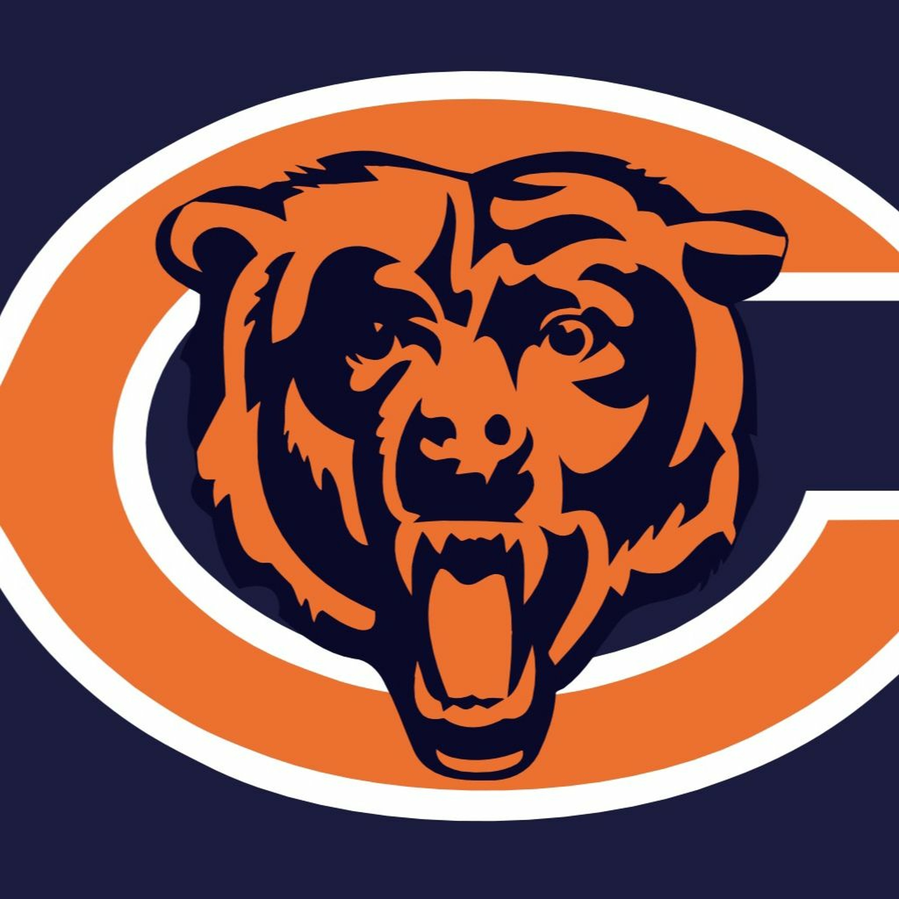 Bears are 0-2 losing to Tampa 27-17