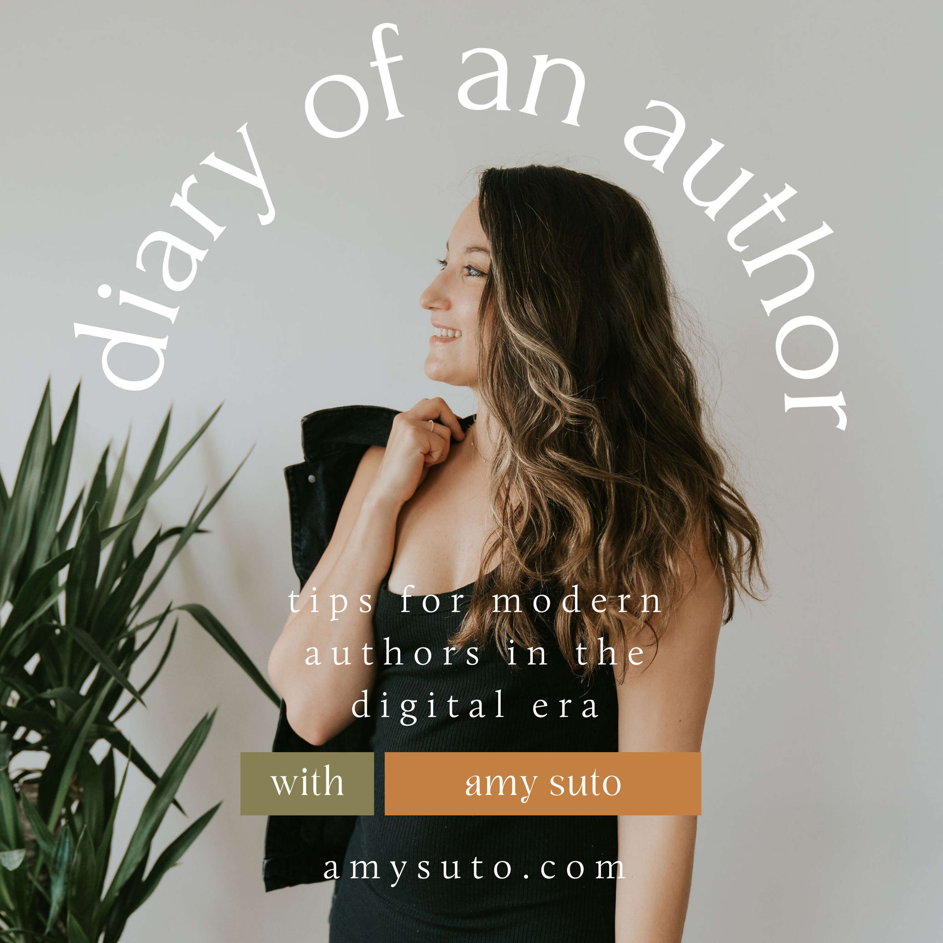 Diary of an Author 