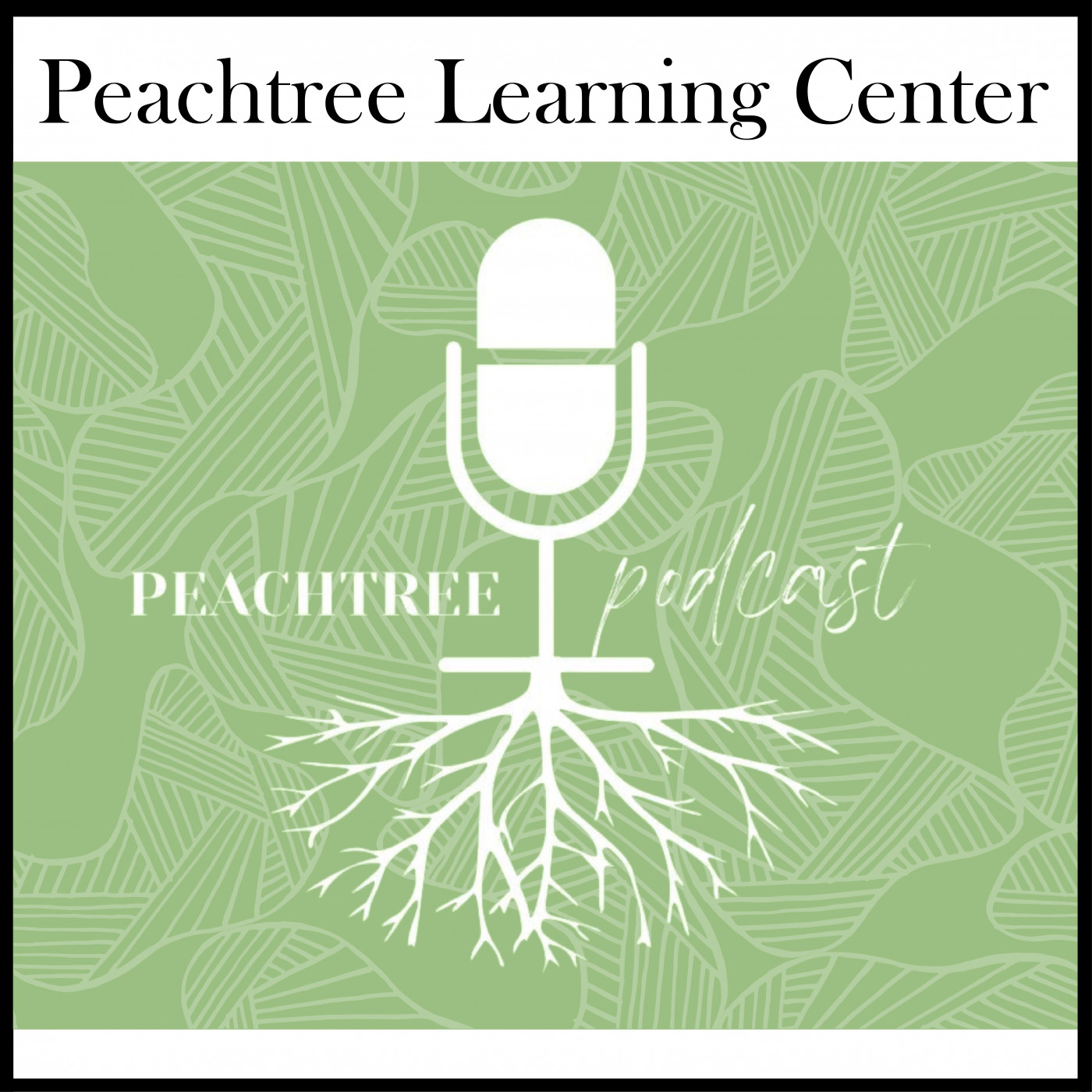 Peachtree Podcast: Interview With Eric Williams