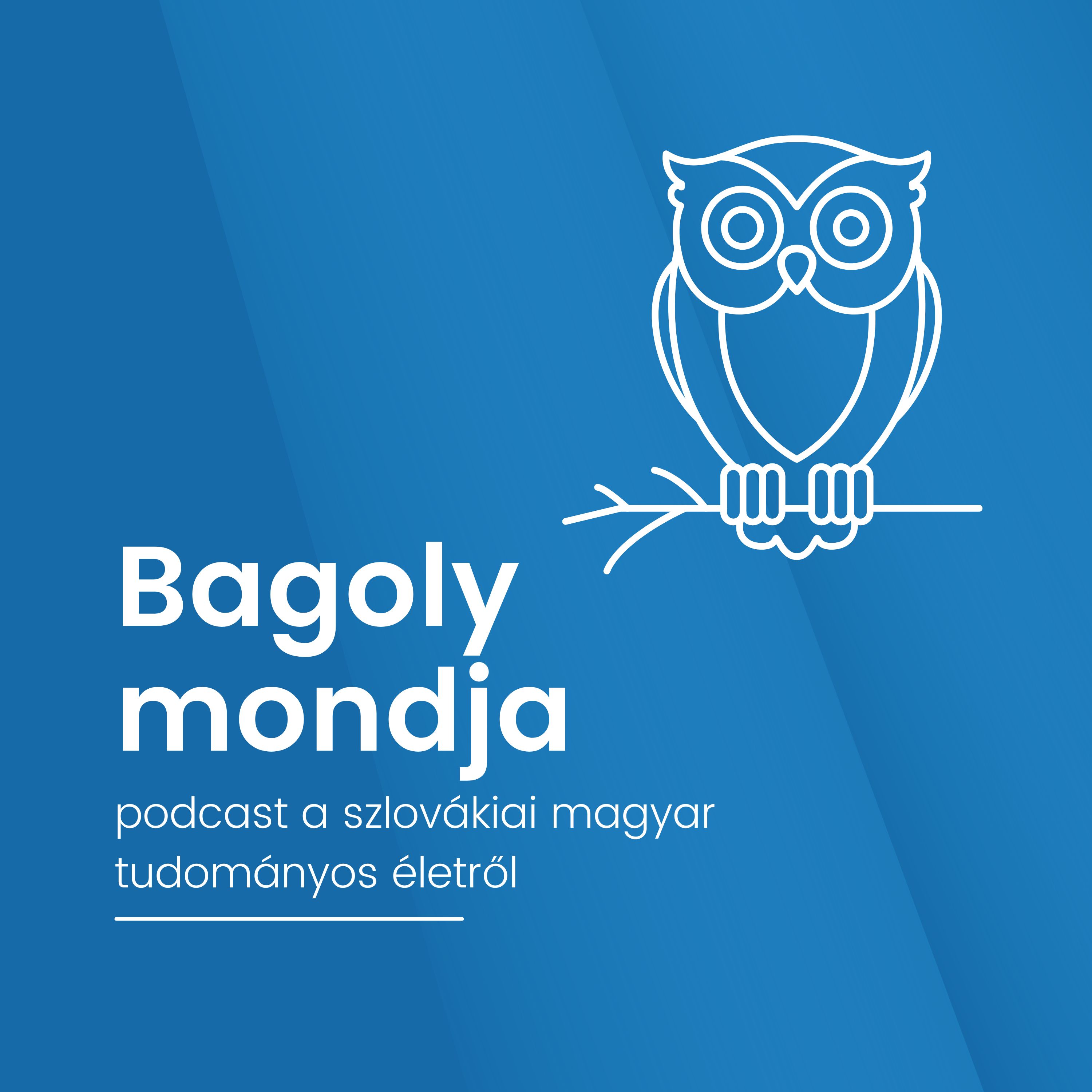 Bagoly mondja 