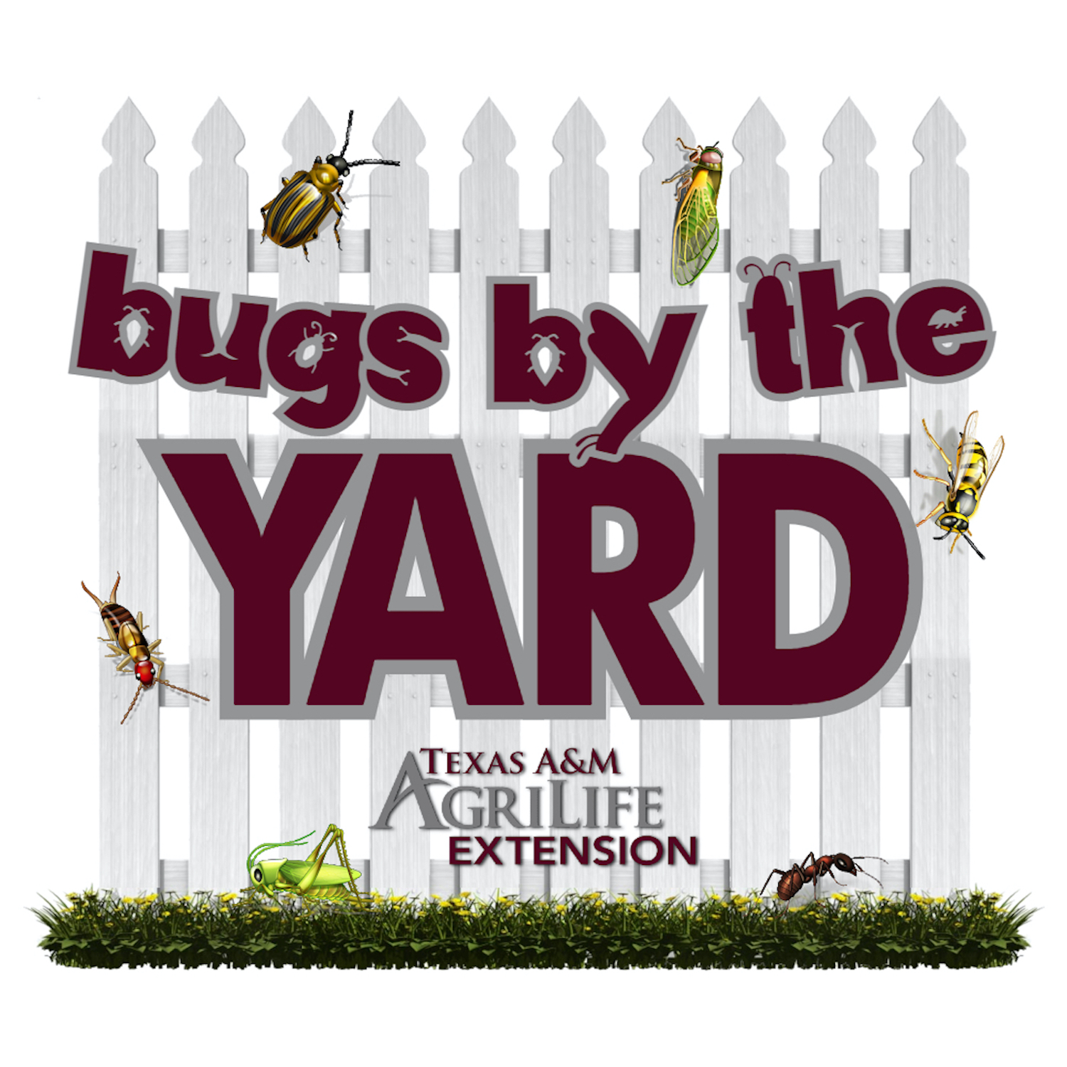 Bugs by the Yard 