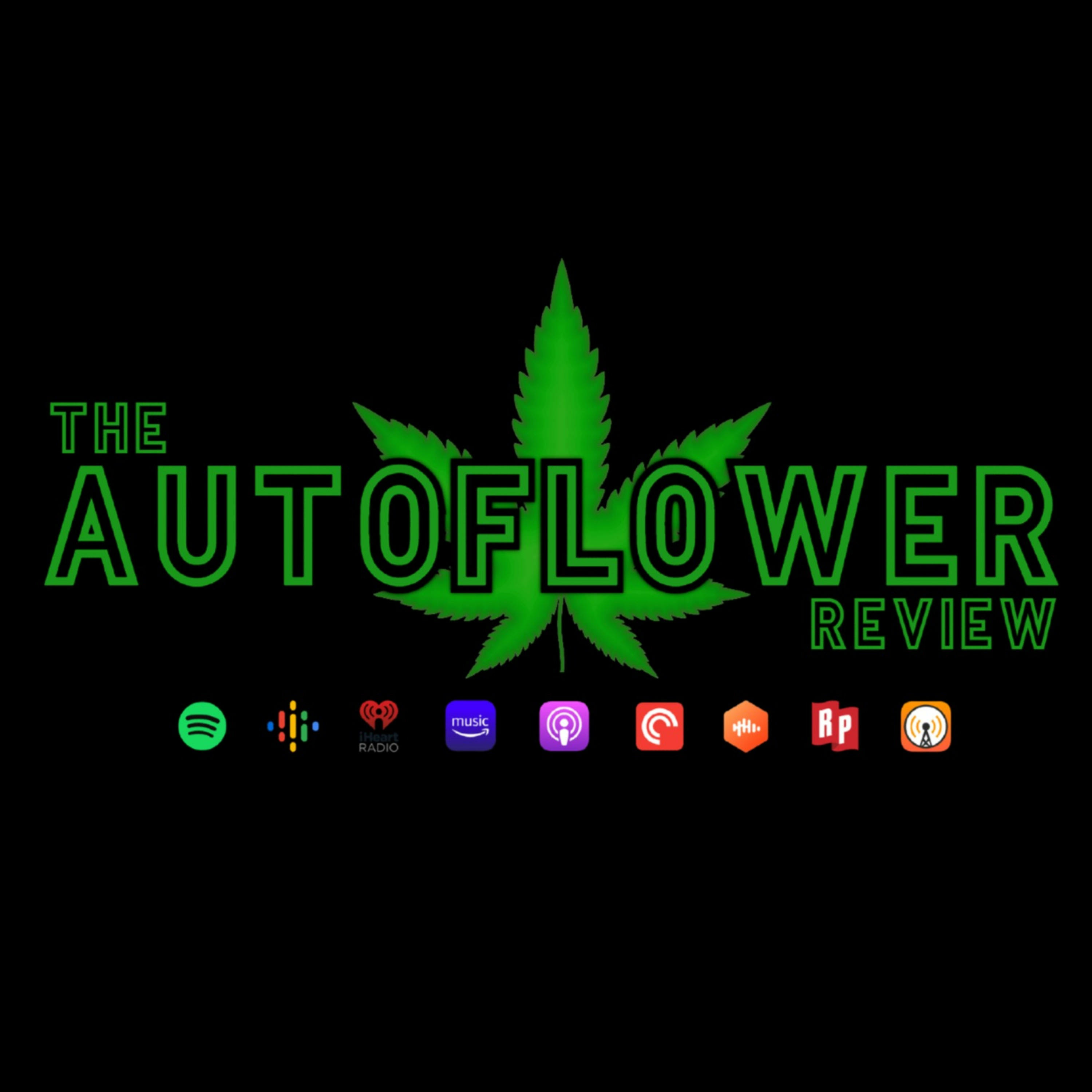 The Autoflower Review Podcast 