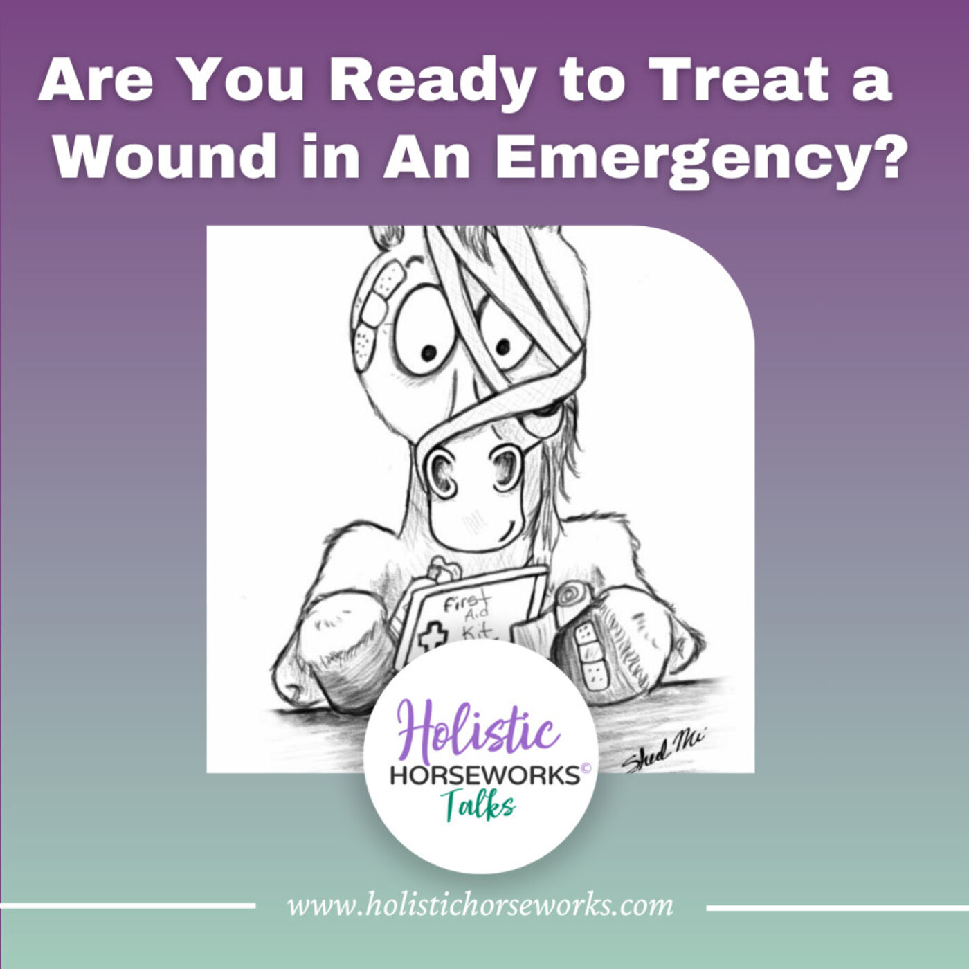 ⁣Are You Ready to Treat a Wound in An Emergency?