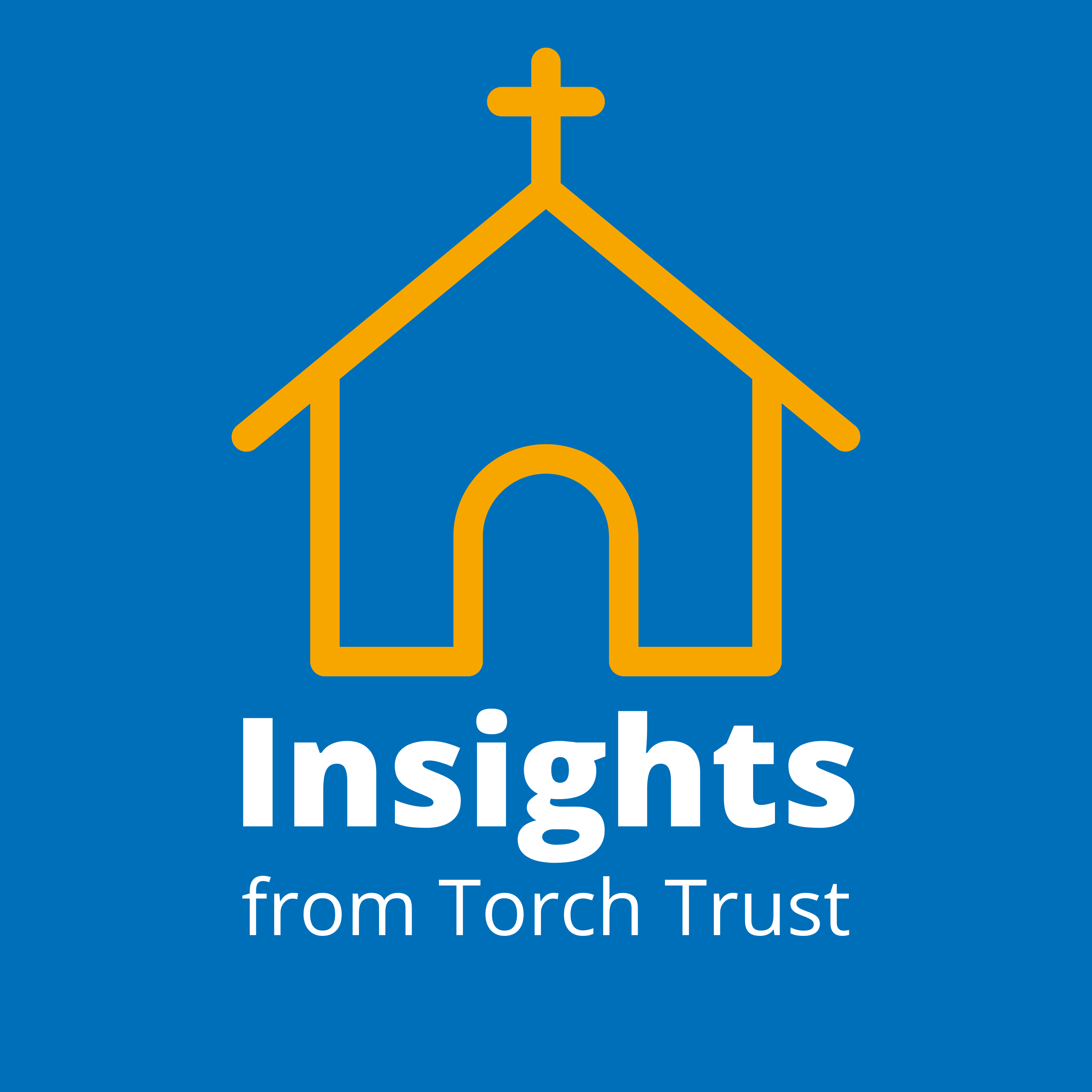 Insights from Torch Trust 