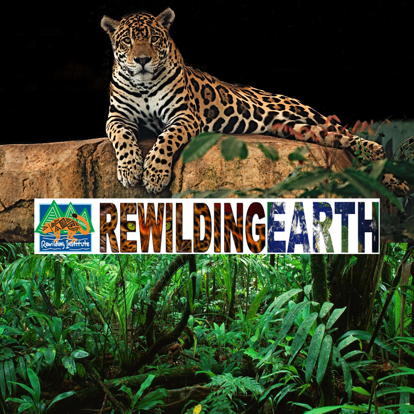 Rewilding Earth Podcast 