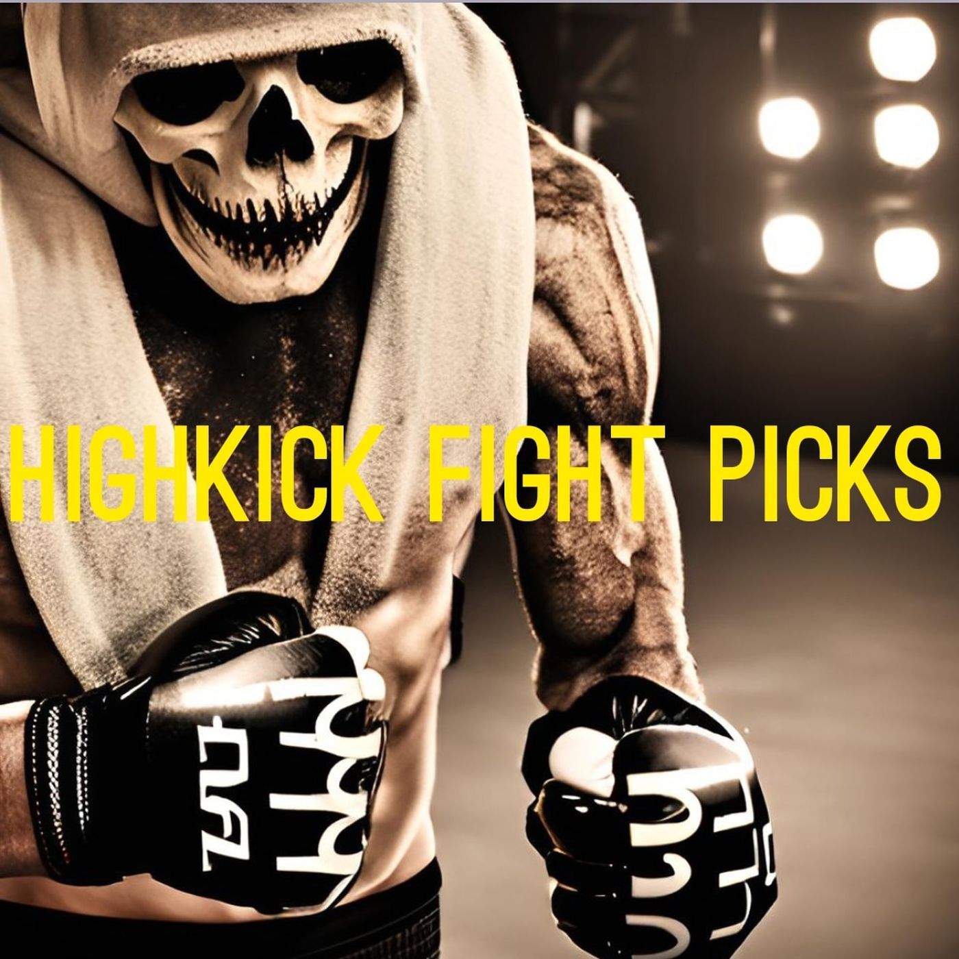 HIGHKICK FIGHT PICKS 