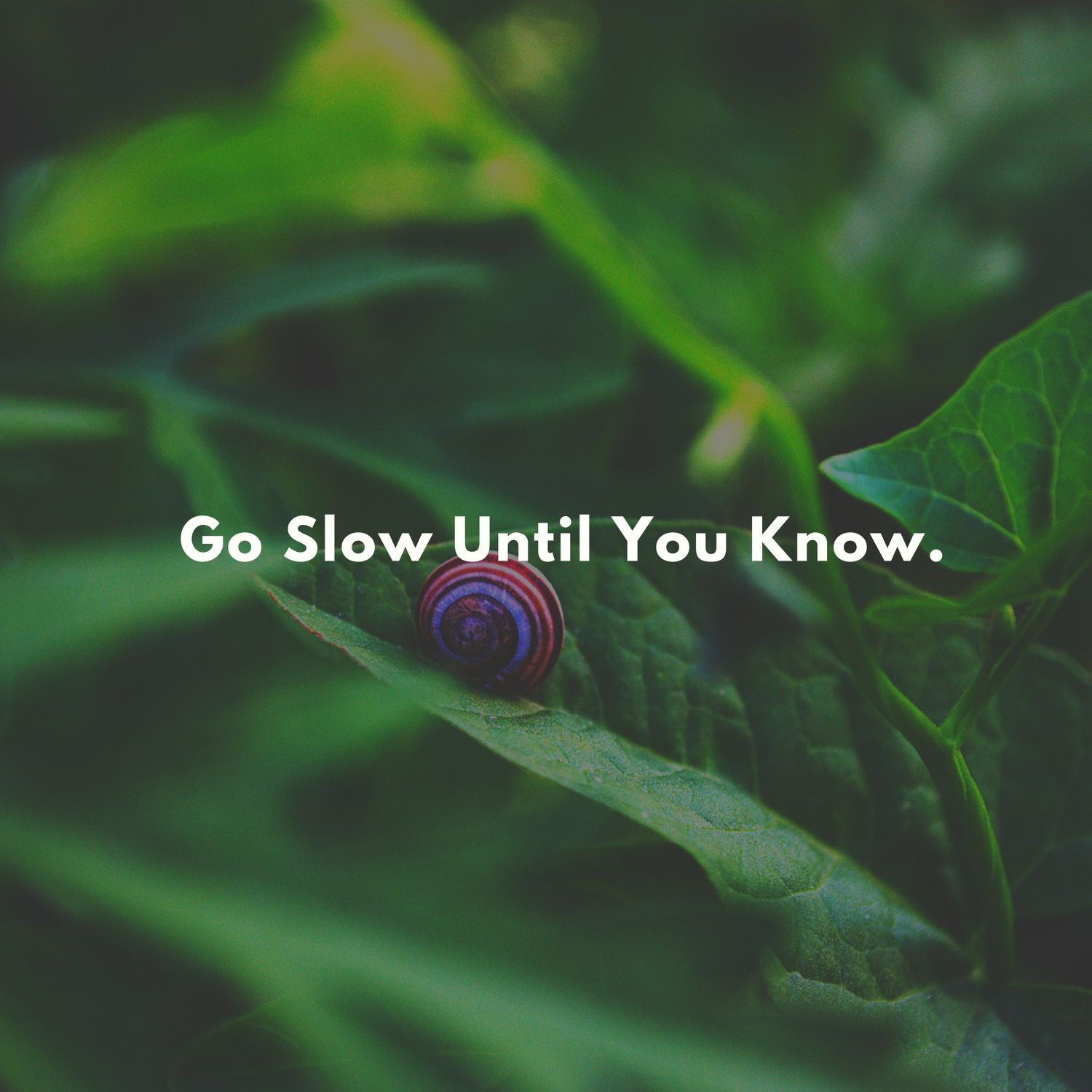 Go Slow Until You Know