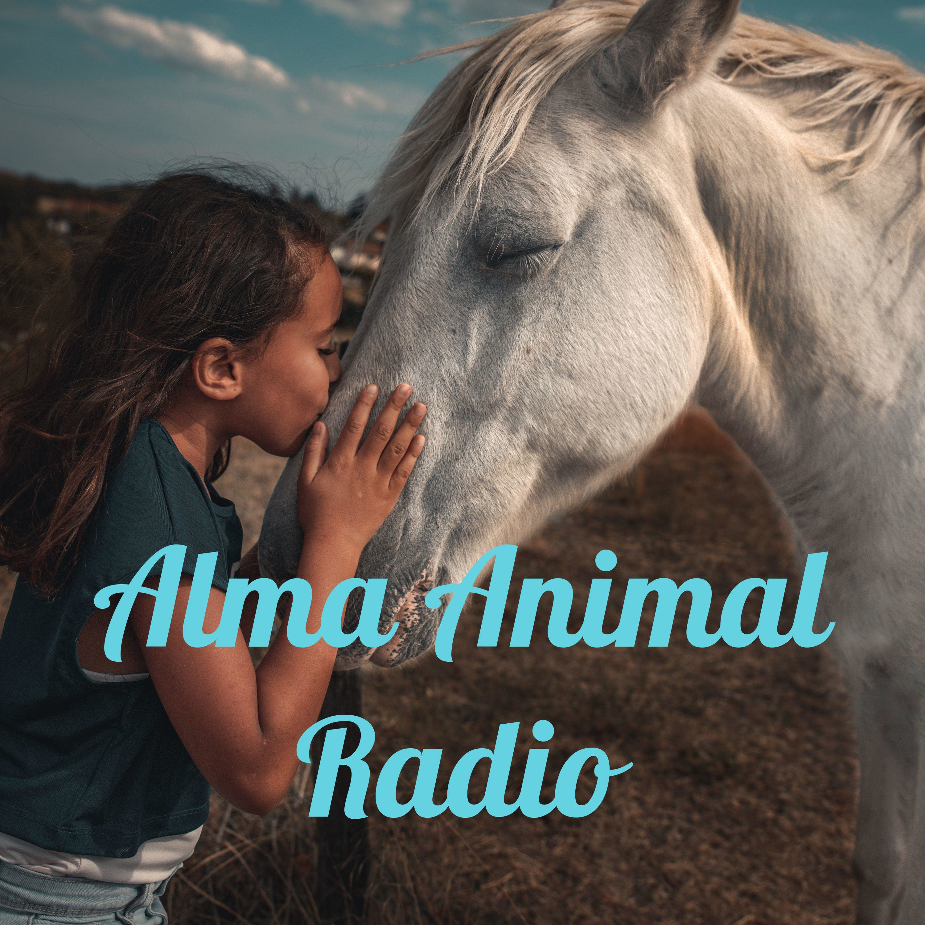 Alma Animal Radio 