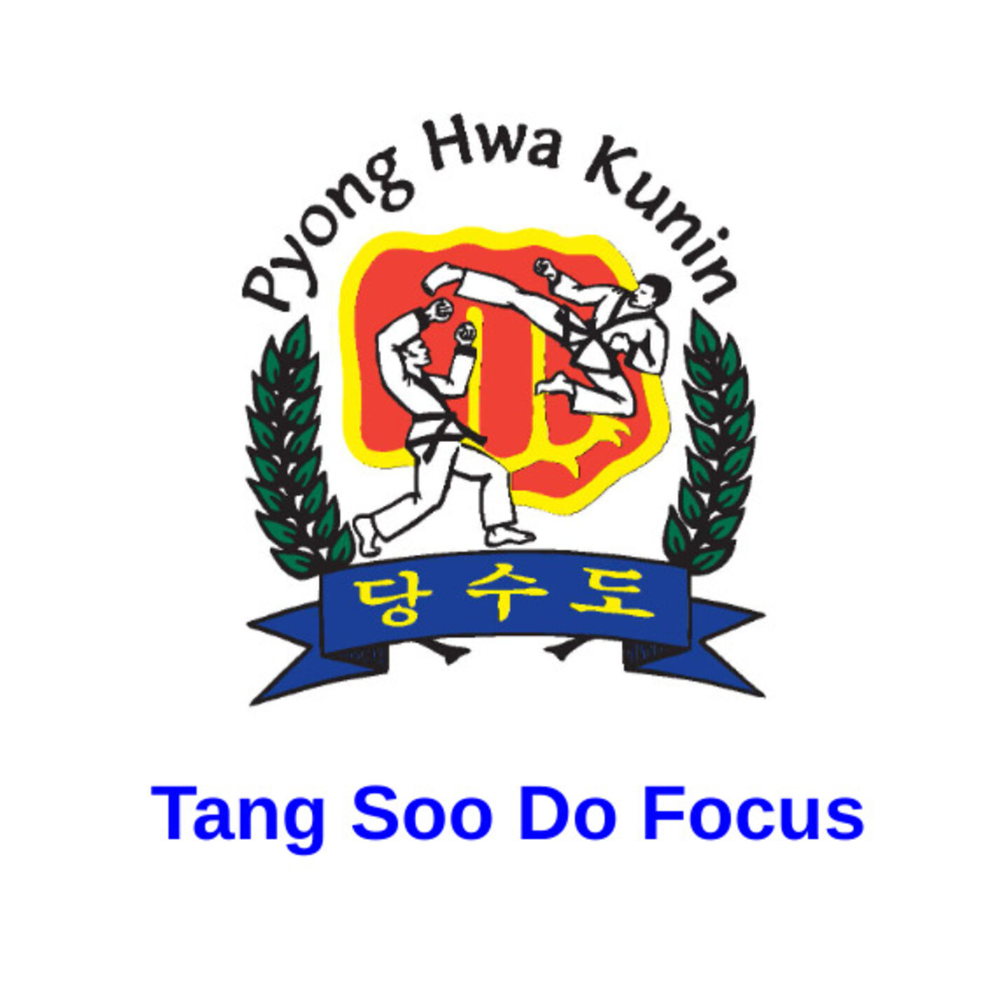 Tang Soo Do Focus 