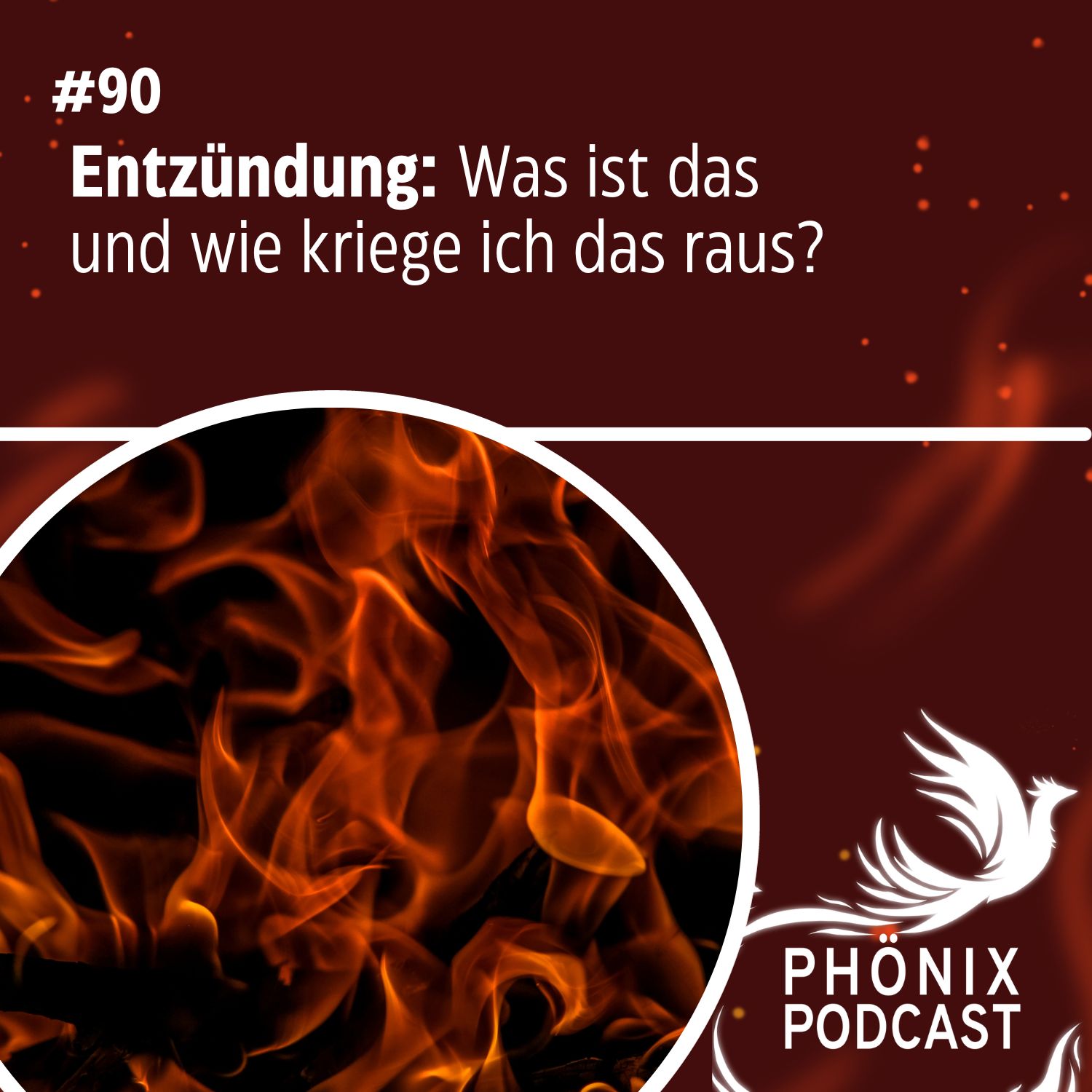 ⁣Entzündung: Was ist das und wie kriege ich das raus? #90