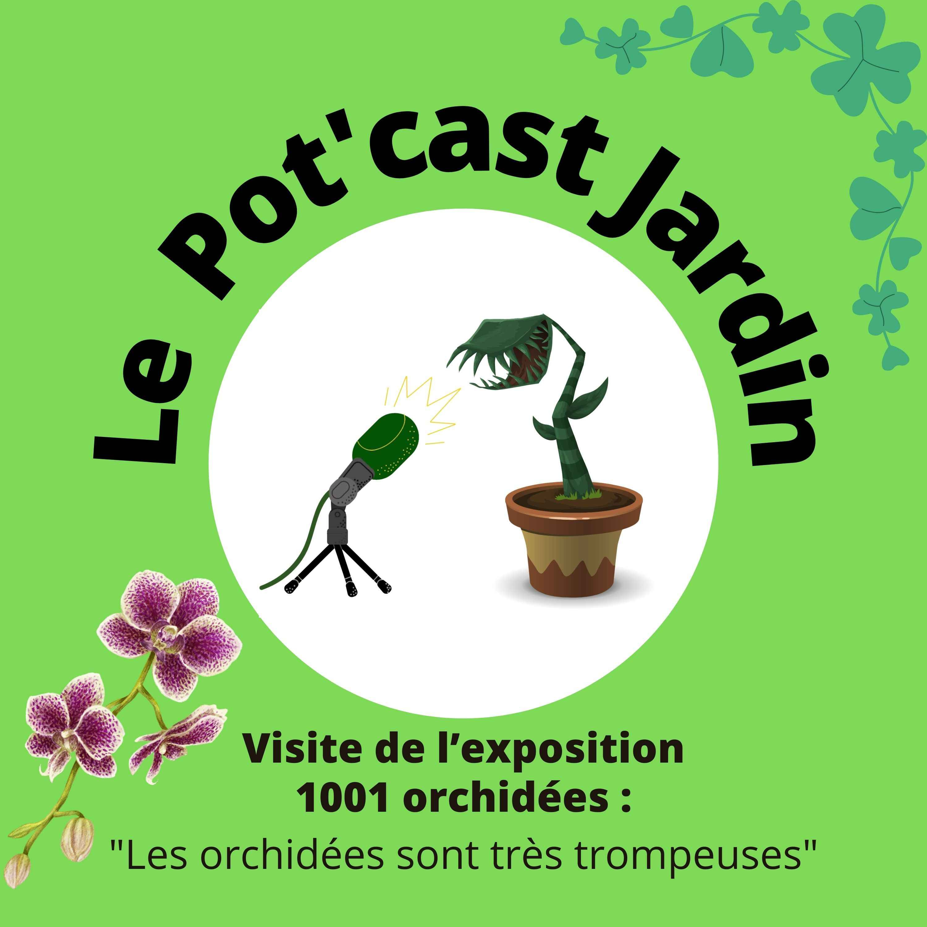 ⁣Épisode 10 - À la découverte du salon 1001 orchidées : "Les orchidées sont très trompeuses"