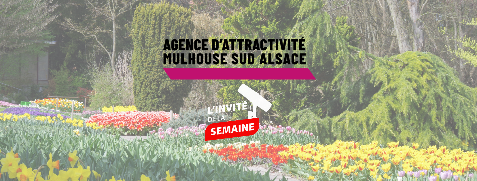 ⁣[L&rsquo;INVIT&Eacute;E DE LA SEMAINE] Nathalie BIRLING &ndash; Agence d&rsquo;Attractivit&eacute; Mulhouse Sud Alsace
