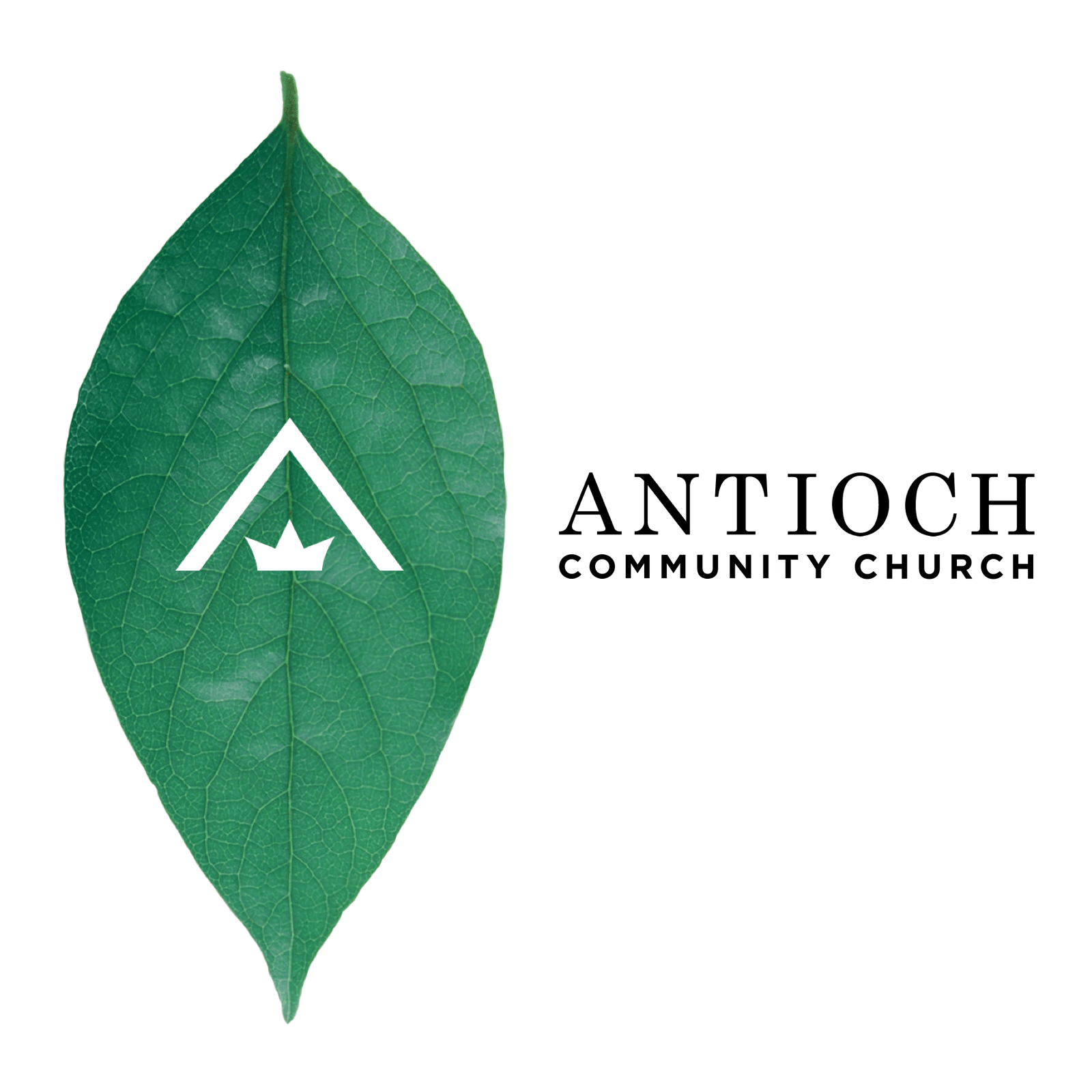 Antioch Community Church in Minneapolis 