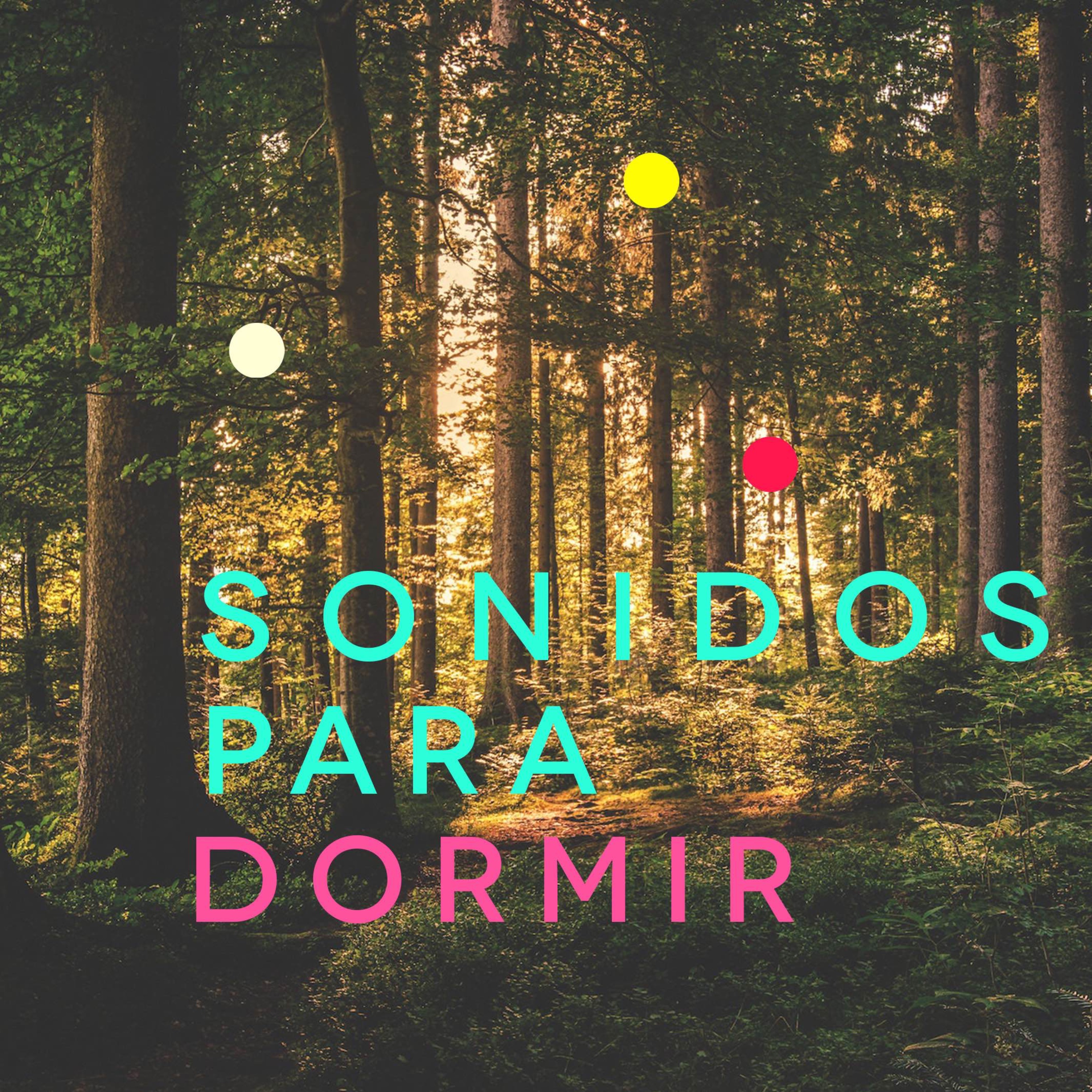 Sondidos Para Dormir 