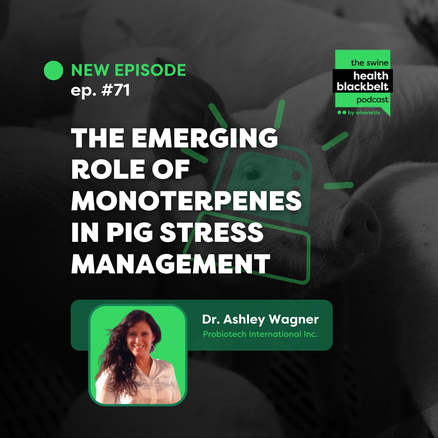 ⁣#71 - The Emerging Role of Monoterpenes in Pig Stress Management - Dr. Ashley Wagner