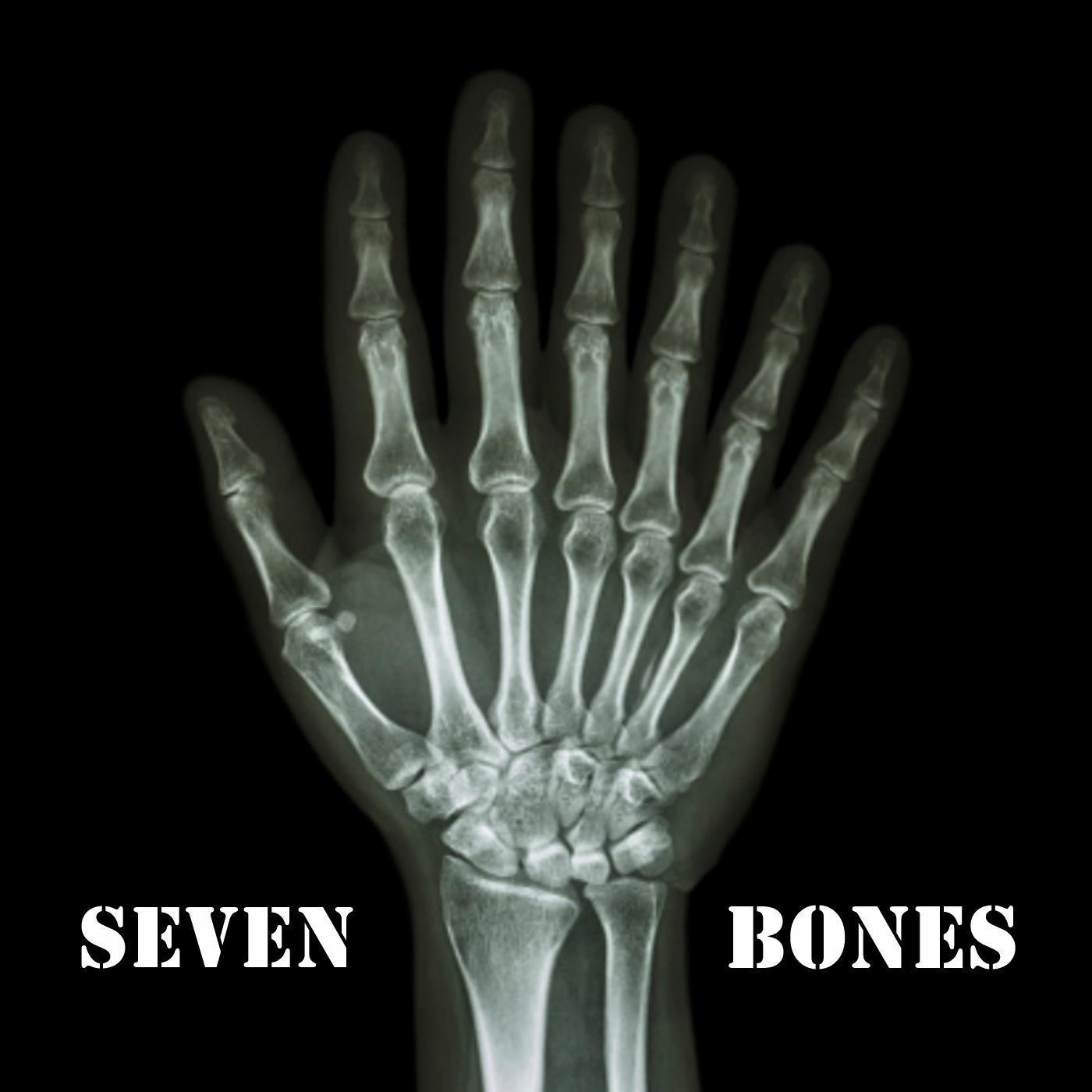 Seven Bones 