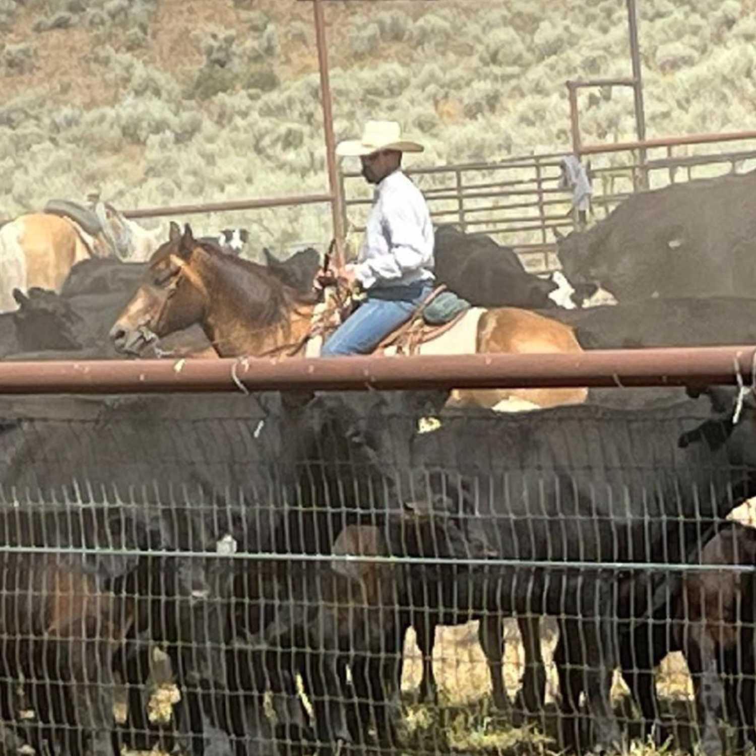 ⁣Monday Mornings with Cary, Willie, and Conley Walker