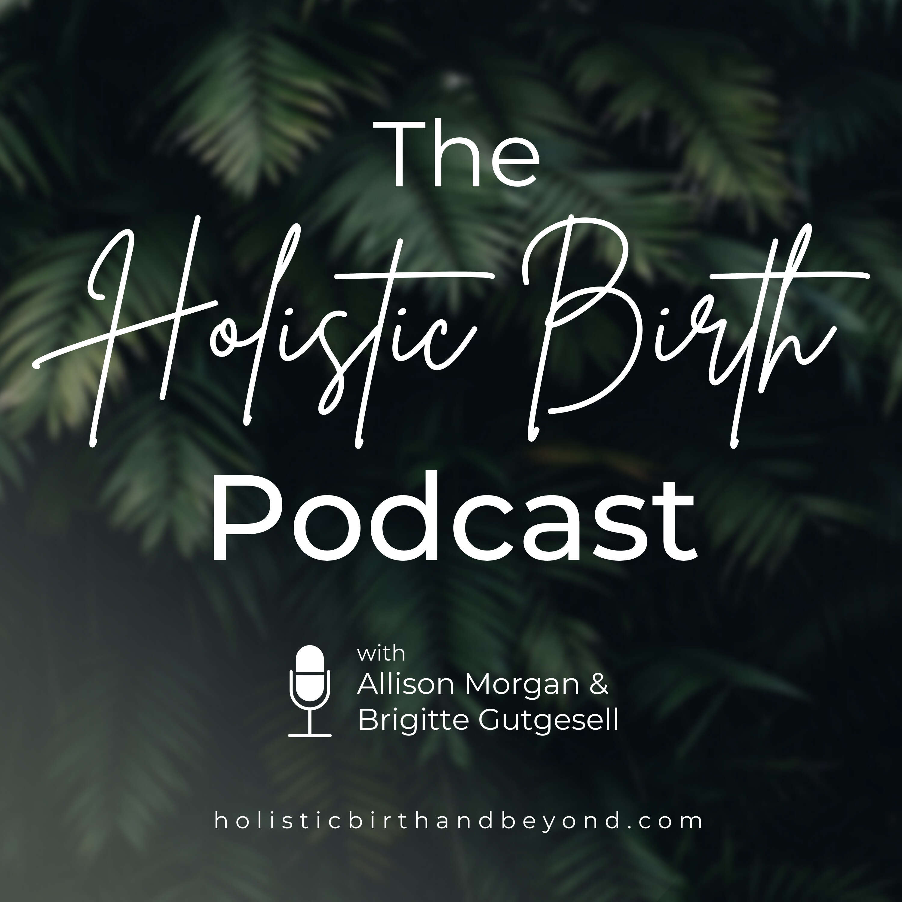 The Holistic Birth Podcast 