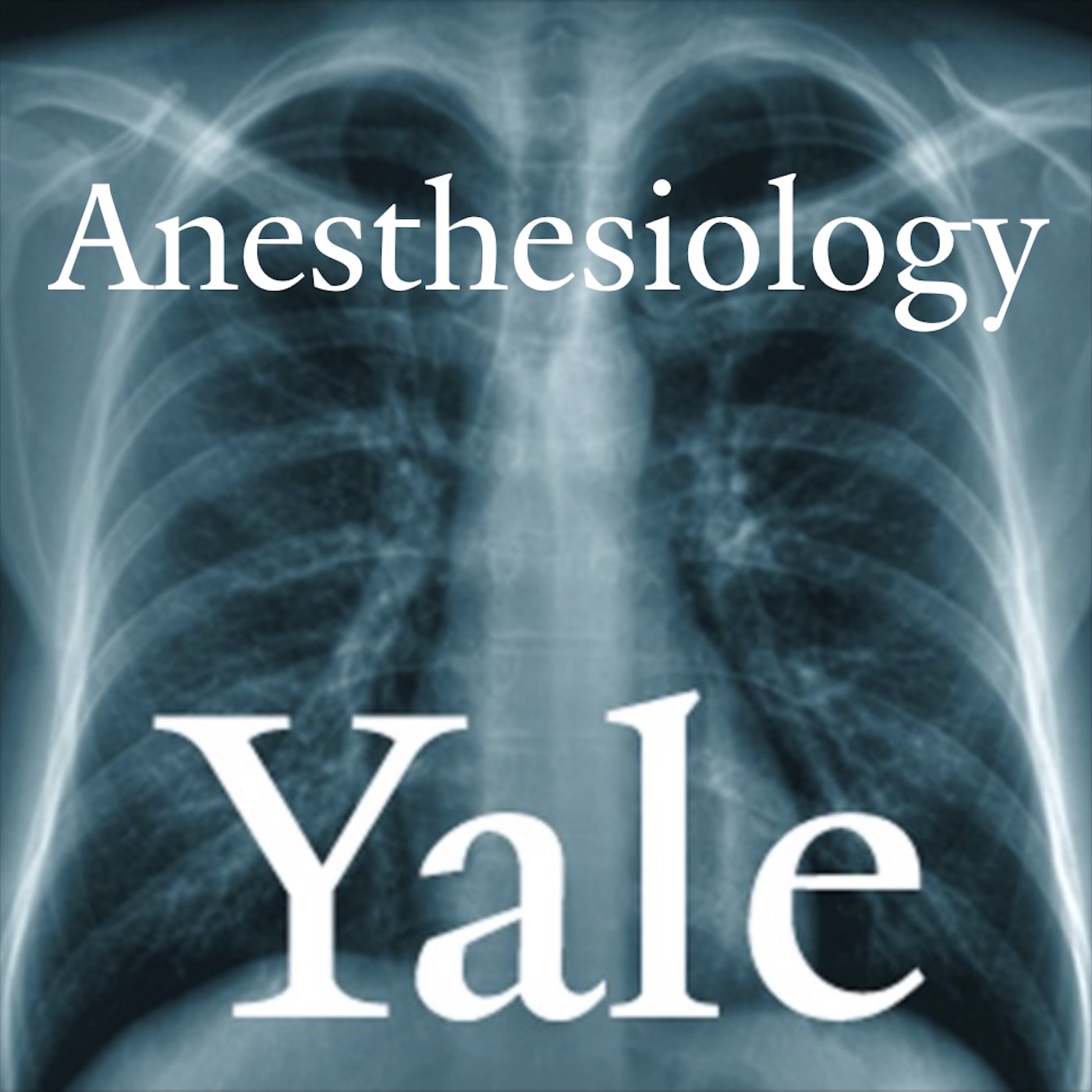 Yale Anesthesiology 