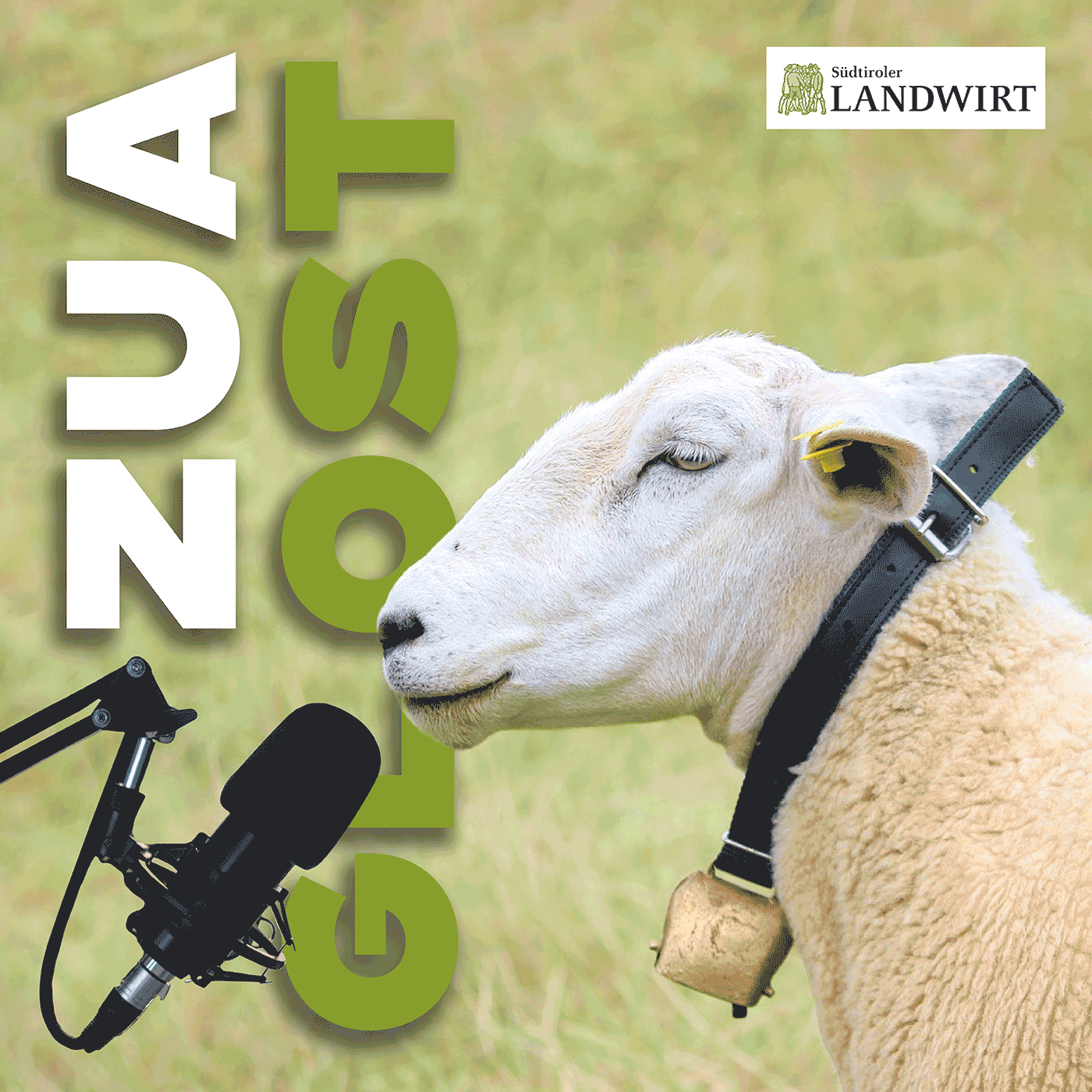 Zuaglost – der Podcast des „Südtiroler Landwirt“ 