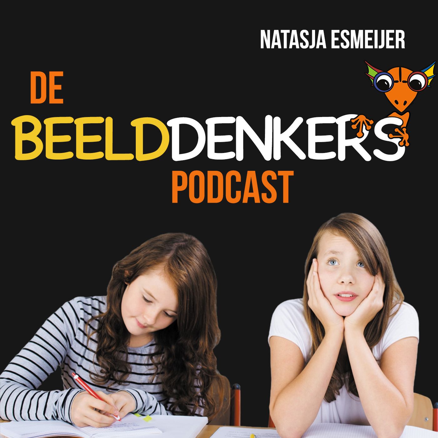 De Beelddenkers Podcast 