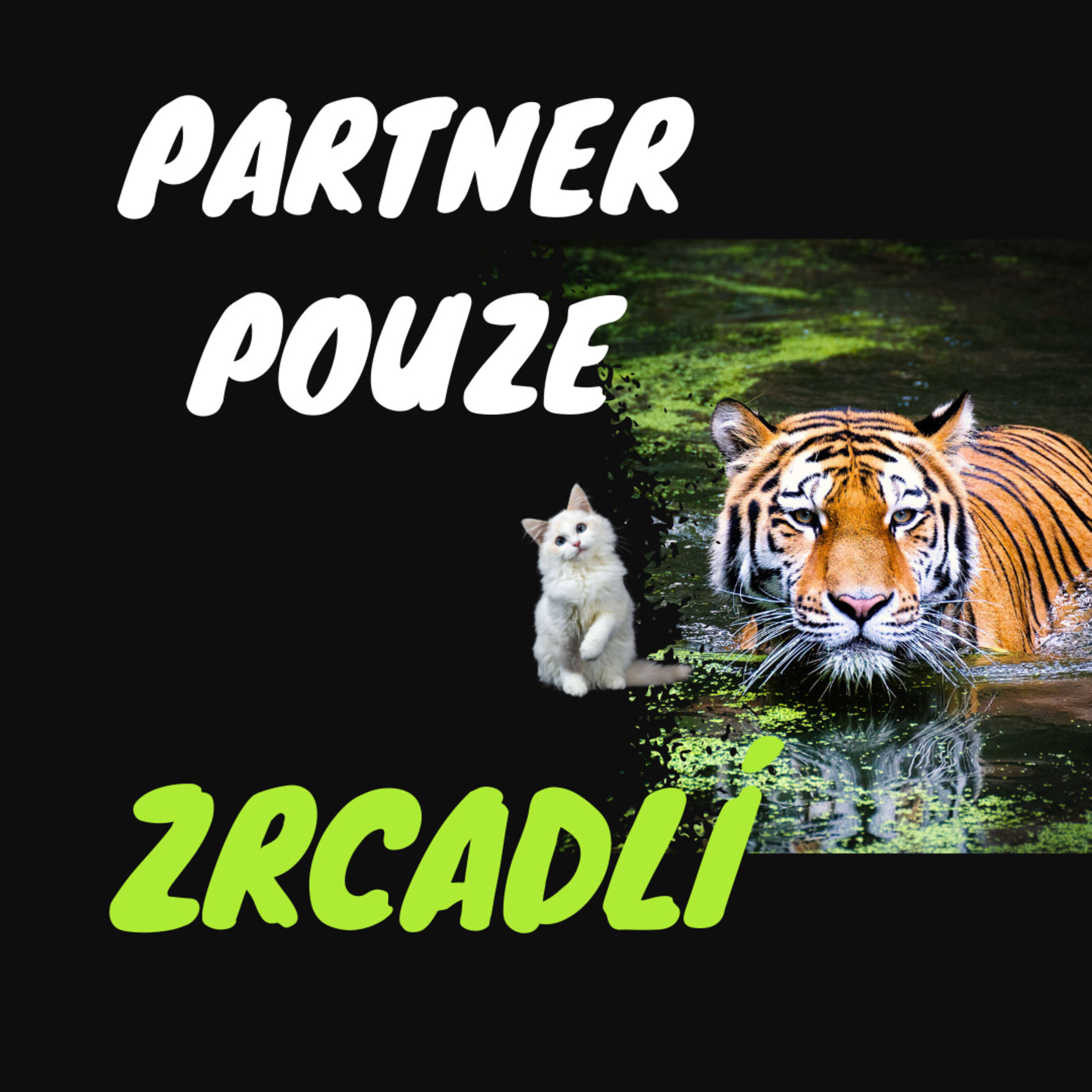 Partnerské vztahy (zrcadlí o nás, co ještě nevíme)