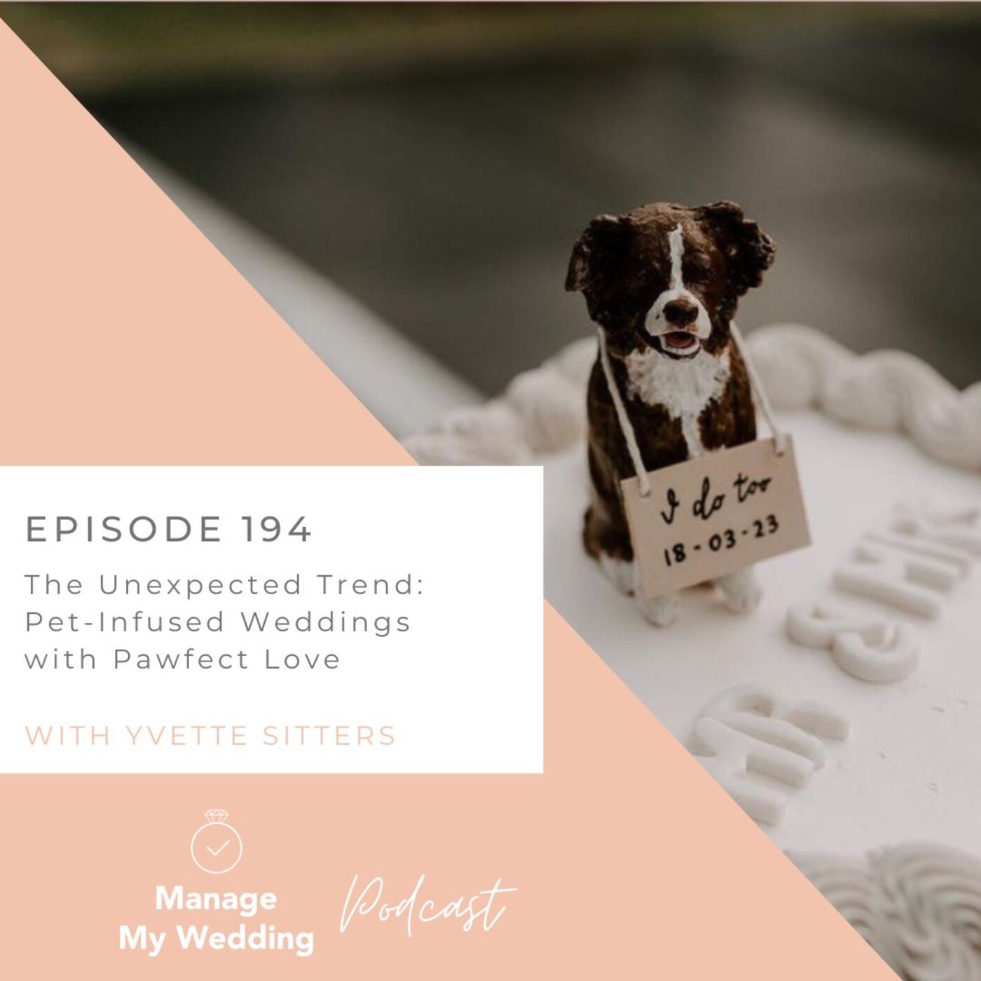 ⁣The Unexpected Trend: Pet-Infused Weddings with Pawfect Love MMW 194