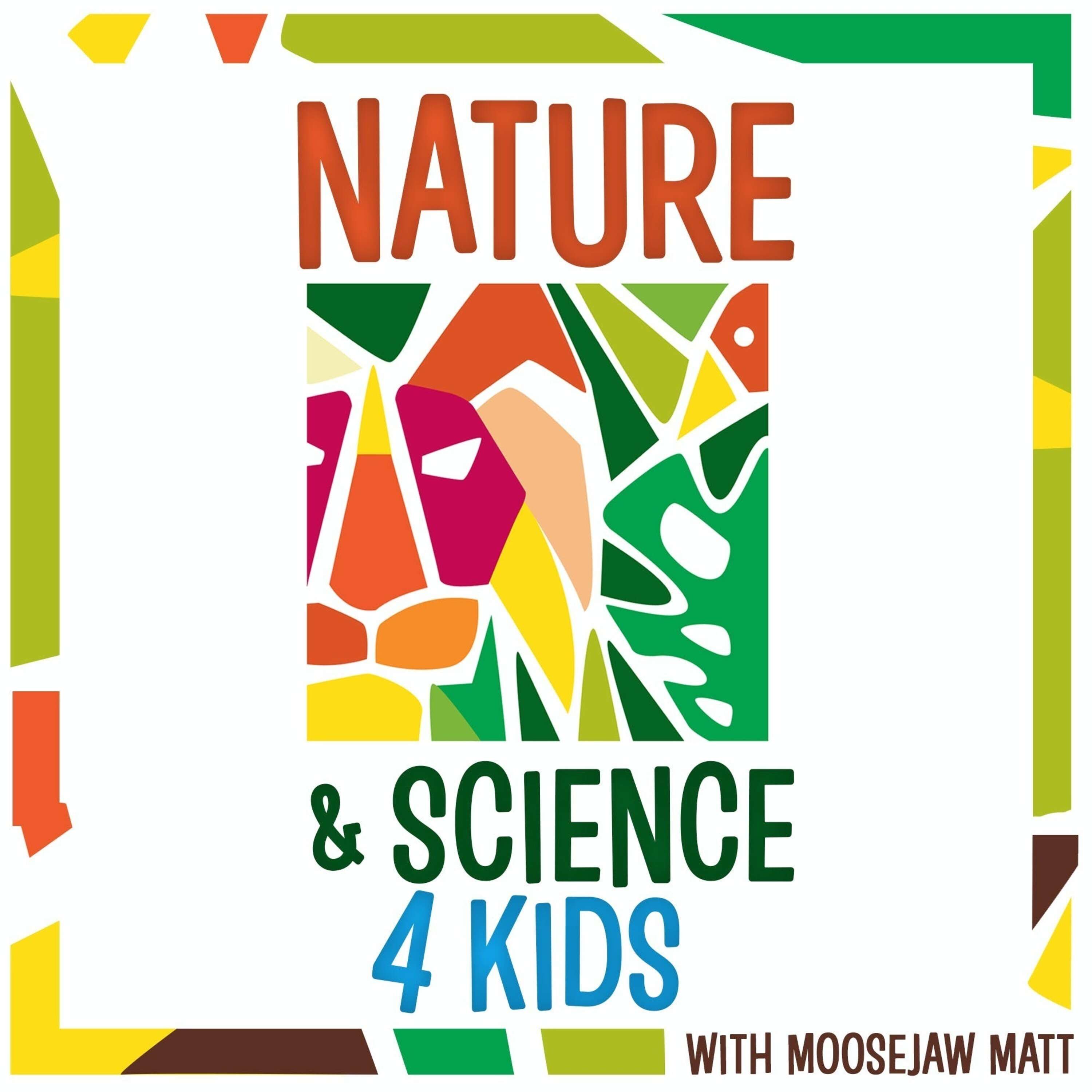 Nature and Science 4 Kids 