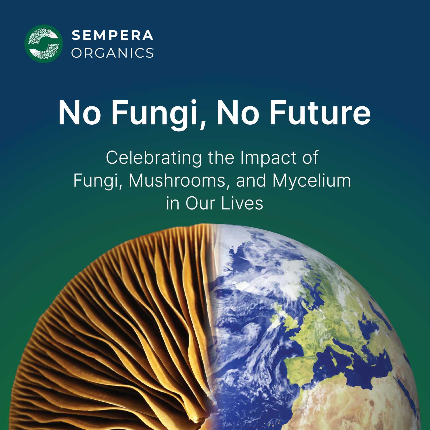 No Fungi, No Future: Celebrating the Impact of Fungi, Mushrooms, and Mycelium in our Lives 