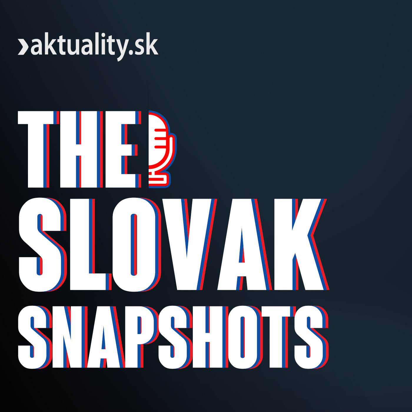 ⁣The Slovak Snapshots: Slovakia's political campaign ends with kicks and punches