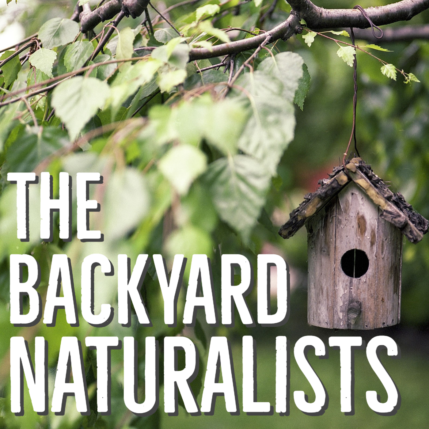 ⁣Nature's Grand Finale: The Backyard Naturalists Season 2 Finale, Part Two