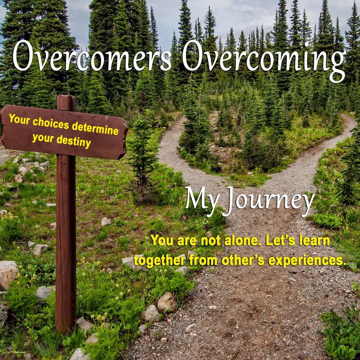 Overcomers Overcoming 