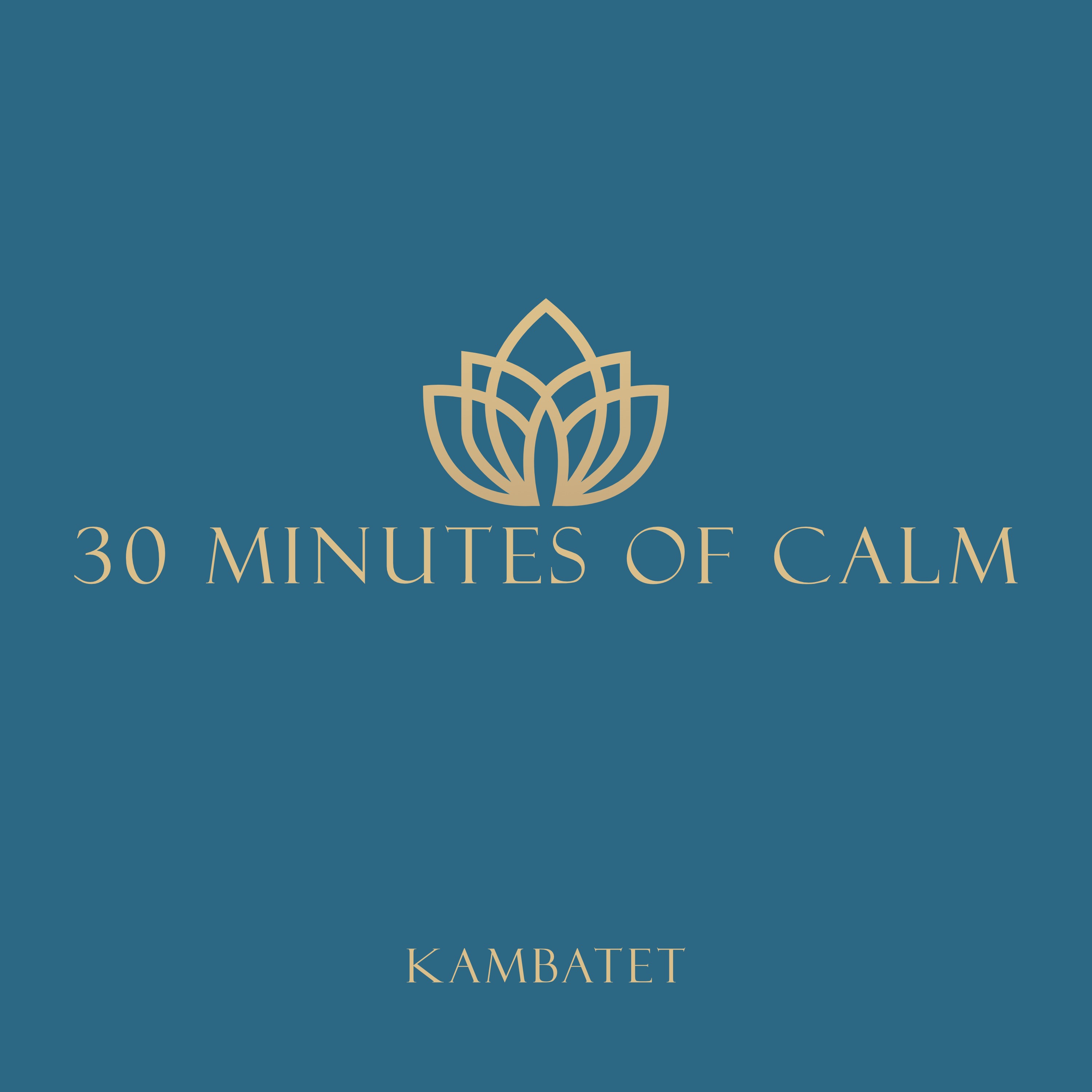 30 Minutes of Calm