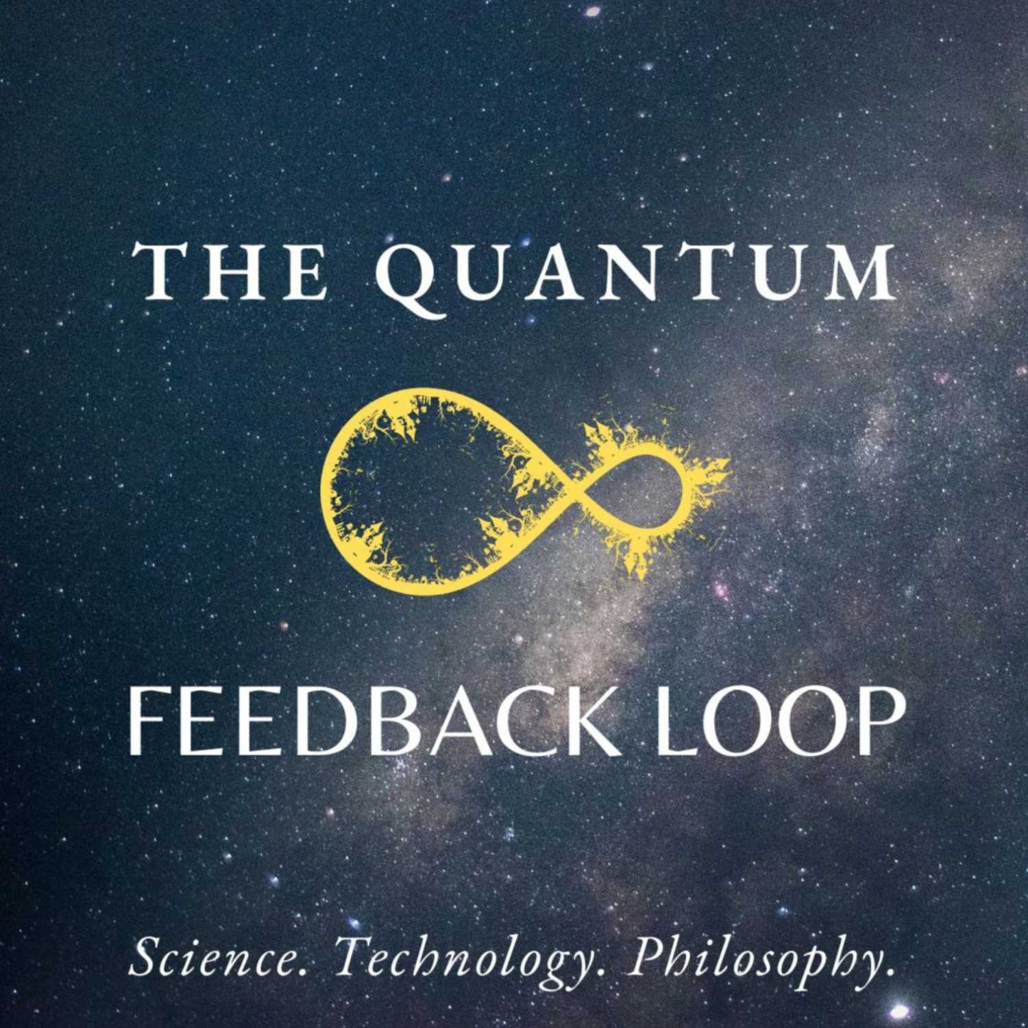 The Quantum Feedback Loop 