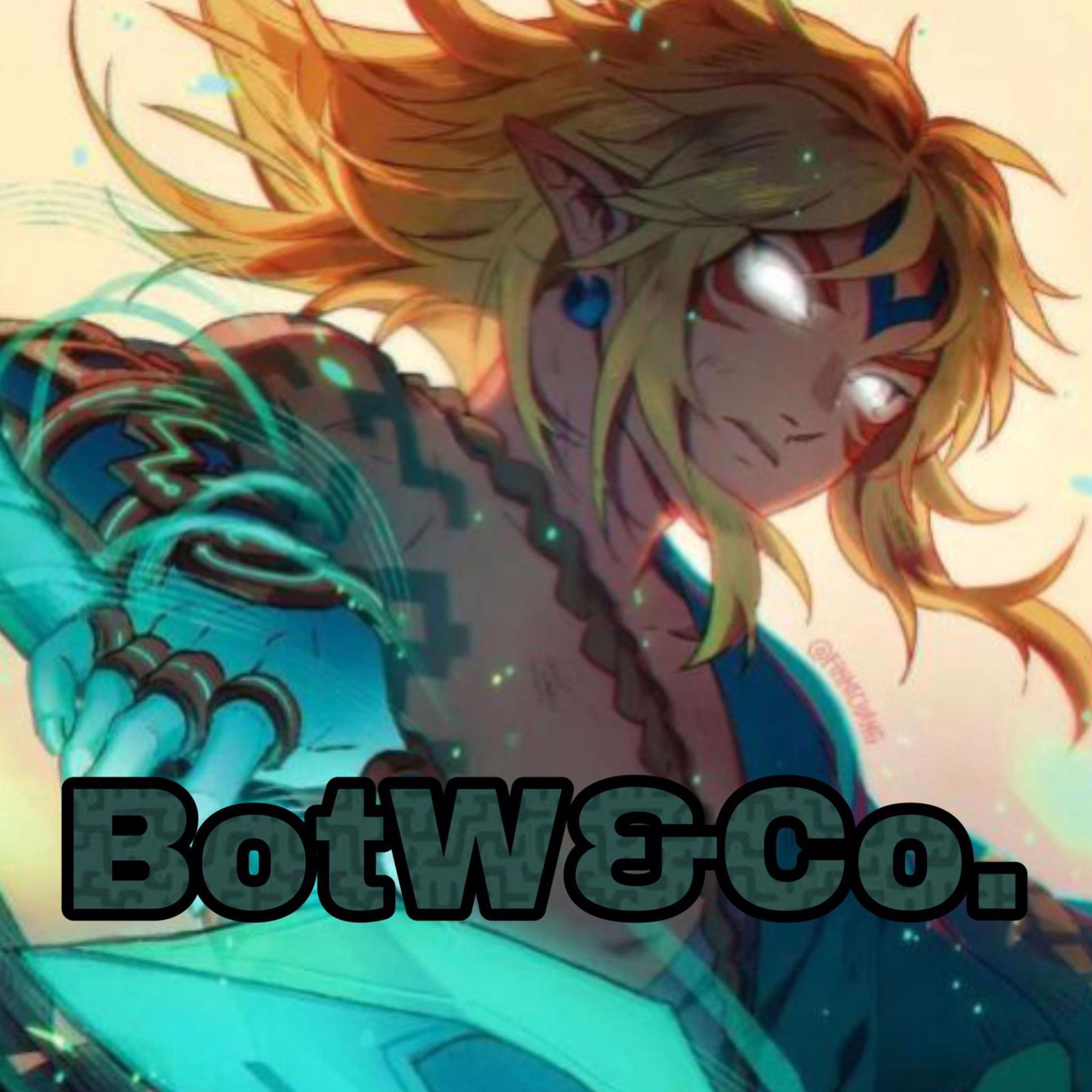 BotW & Co. 