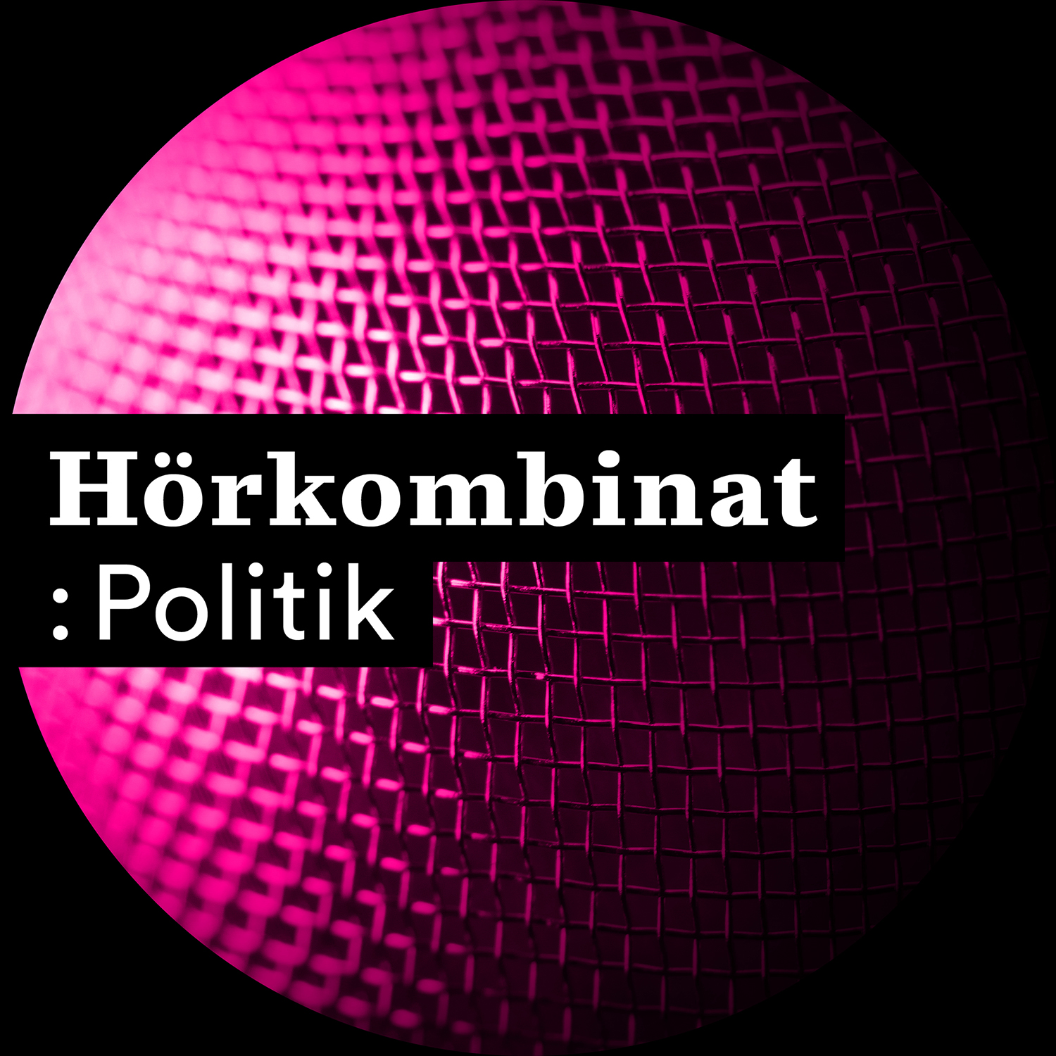 Hörkombinat :Politik 