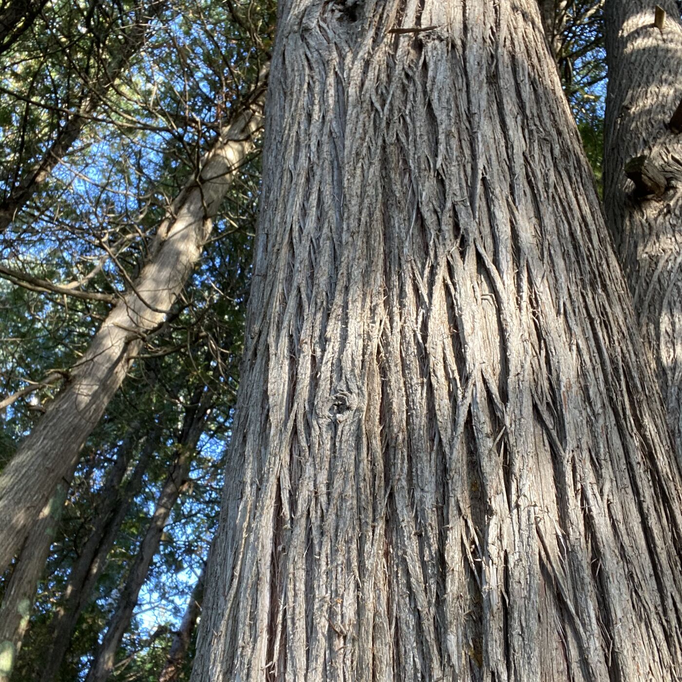 ⁣Resting in THIS Peace