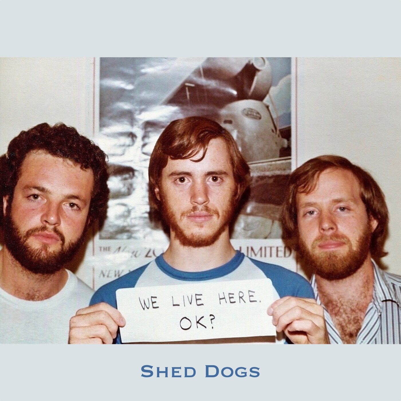 Shed Dogs 