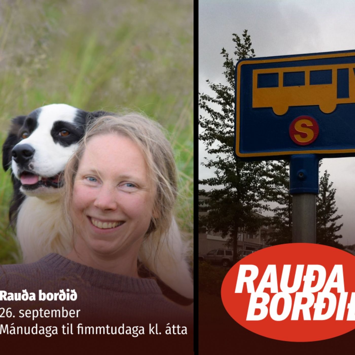 ⁣Rauða borðið - Strætó, sauðfé, SÁÁ og sósíalismi